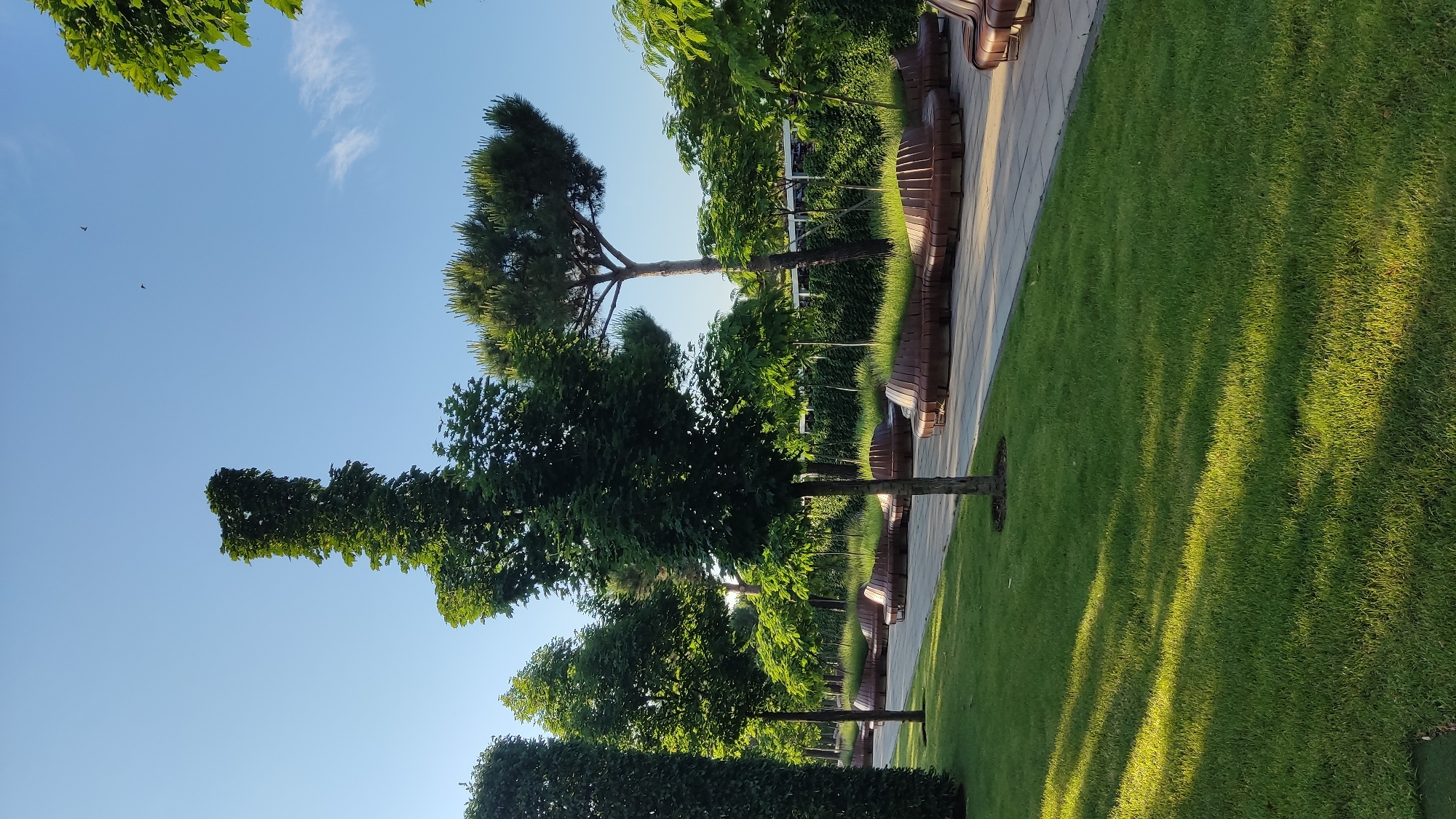 A public park in Krasnodar, Russia, features a paved walkway lined with artistic, curved wooden benches. The benches are integrated with grassy mounds, creating a modern and organic design. Several trees are strategically placed along the walkway, providing shade and enhancing the park's aesthetic. The lawn is neatly manicured and illuminated by the warm glow of sunlight filtering through the trees, casting dappled shadows. The sky above is clear and blue, with a few wisps of clouds and two distant birds flying. The overall scene depicts a tranquil and well-maintained urban green space designed for relaxation and enjoyment.