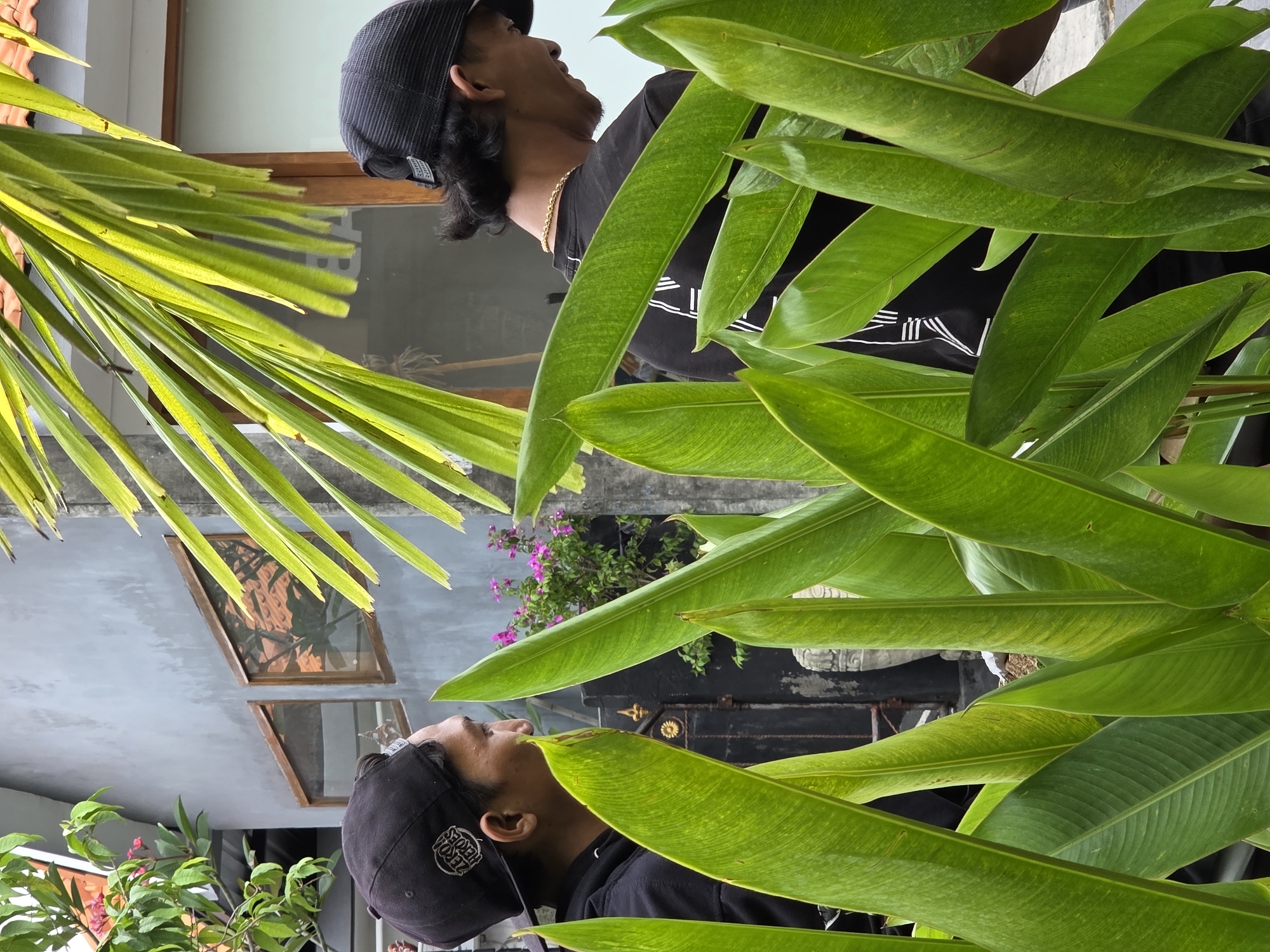 The image depicts two individuals, both wearing black baseball caps and dark t-shirts, standing outdoors in what appears to be a residential area. In the foreground, large, vibrant green leaves obscure a portion of the scene. The first individual, on the left, faces to the right, his profile visible. He wears a black t-shirt with a circular logo on his cap. The second individual, on the right, faces away from the camera, his head turned slightly to his left. He has a gold chain around his neck and wears a black t-shirt with a white graphic design. Behind the individuals, a muted gray building with wooden-framed windows is visible. Pink flowers and lush green foliage are present to the left of the building. The overall impression is a casual, outdoor setting in North Kuta, Indonesia, with a focus on the interaction between the people and the surrounding natural elements.