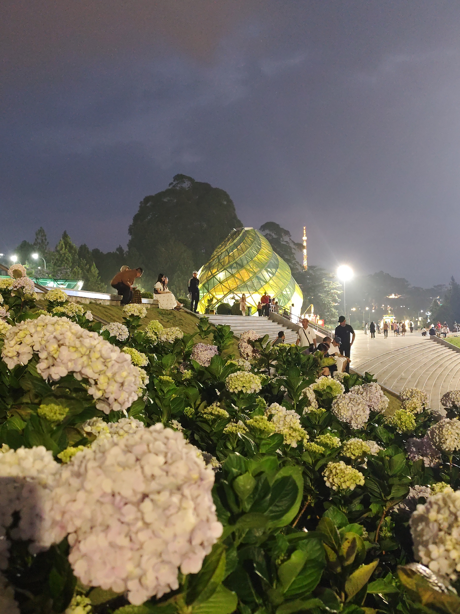 The image captures a night scene in Da Lat, Vietnam, prominently featuring a vibrant flower garden in the foreground. Dominating the garden are numerous hydrangea bushes with clusters of white and green flowers. Behind the flowers, people are visible on a grassy slope. A couple poses for a photo, while another person is sitting nearby.
The background highlights a striking glass and metal structure that resembles an artichoke, glowing with warm internal light. Adjacent to the building is a pedestrian walkway. Various people are walking along the path and stairs. A tall communications tower rises in the distance near the illuminated structure. The sky above appears to be overcast with dark clouds.