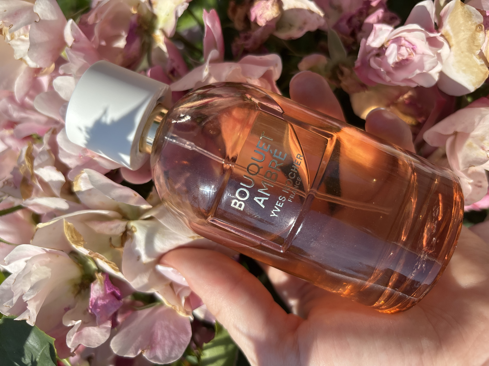 A perfume bottle rests in a person's hand, surrounded by pink and white roses. The bottle is made of clear glass with an orange tint, and it has a white cap. The label on the bottle reads "BOUQUET D'AMBRE" and "YVES ROCHER FRANCE". The scene appears to be outdoors, possibly in a garden, with soft, natural light. The roses suggest a romantic or delicate theme. The image is likely taken during the daytime, with clear weather conditions, given the bright lighting and shadows. The focus is on the perfume bottle, highlighting its color and the surrounding floral elements.