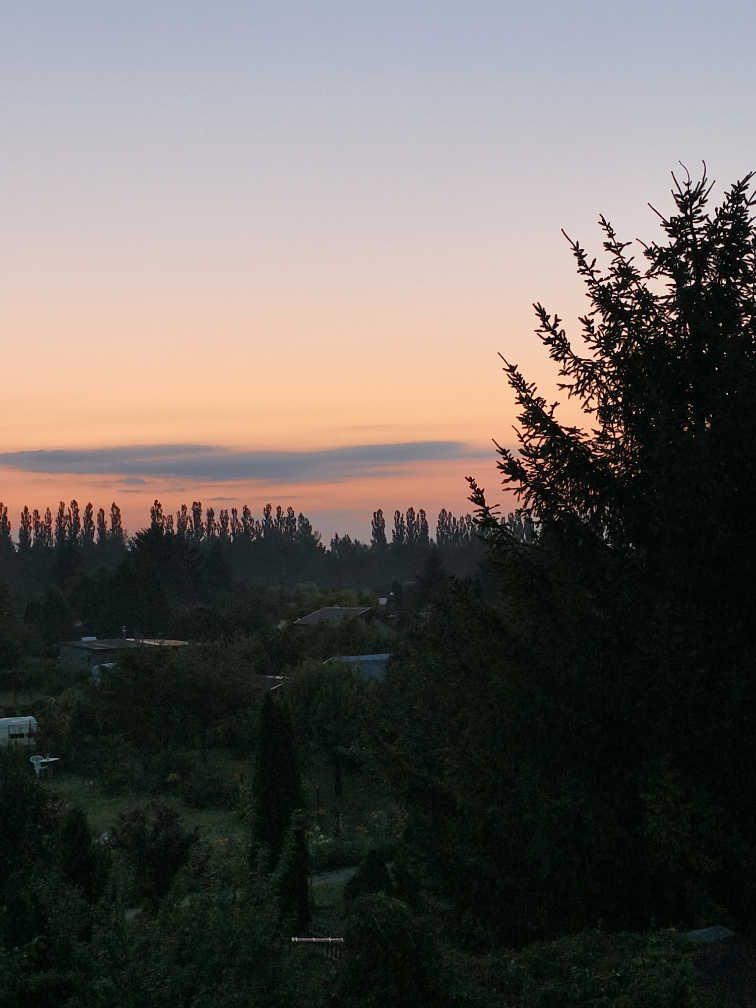 The image depicts a twilight scene over a rural or suburban area, likely in Tczew, Poland, given the context of previous requests. The sky displays a gradient of pale blue to soft orange, with a thin band of grey clouds horizontally across the middle. In the foreground, the dark silhouette of a coniferous tree dominates the right side of the frame. Beyond the tree, a dense line of tall, slender trees, possibly poplars, forms a dark barrier against the horizon. Below this line of trees, a scattering of buildings and vegetation is visible, with some structures appearing to be small houses or sheds. The overall impression is one of a peaceful, early evening landscape, with the fading light casting long shadows and obscuring finer details of the lower portions of the scene.