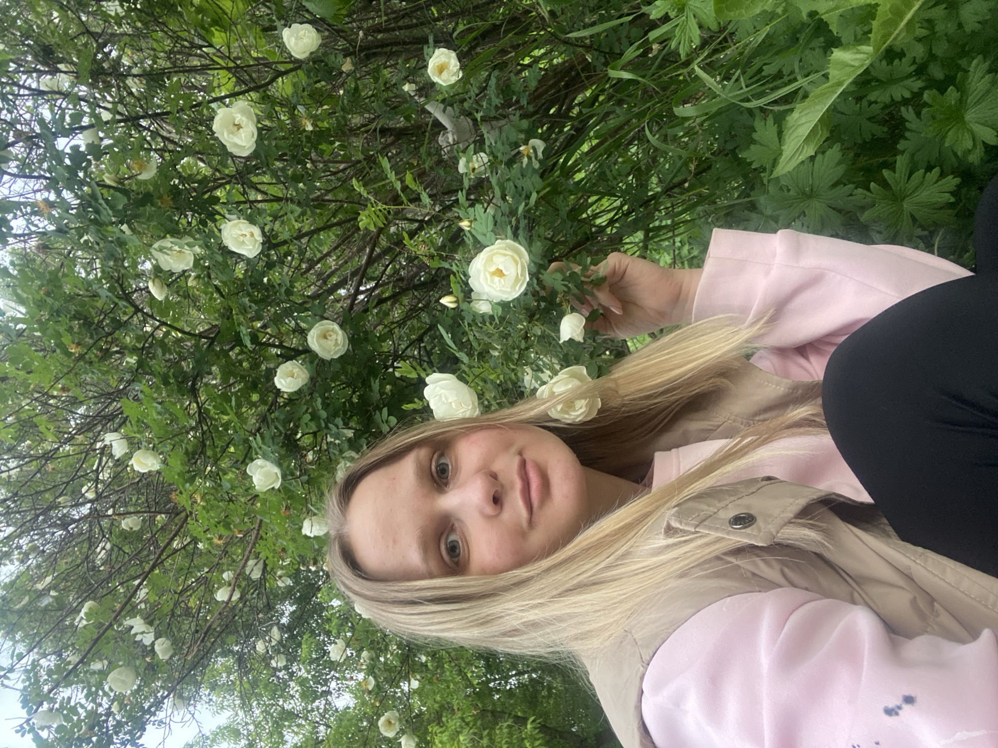 A blonde female is positioned outdoors, partially crouching or seated, against a dense backdrop of green foliage and numerous white roses. She faces the camera with a neutral expression, light-colored eyes, and slightly parted lips. Her long, straight blonde hair falls over her shoulders. She is dressed in a pale pink long-sleeved top layered under a light beige quilted vest, featuring a metallic snap closure on the front. Her lower body is clad in black leggings or pants. Her left hand, with light-colored fingernails, is extended and positioned near a white rose bloom on its stem. The background consists primarily of a large bush or small tree densely covered with white, multi-petaled roses and green leaves. Exposed branches are visible throughout the foliage. In the lower right, the ground is covered with various green plants and grasses, including broad-leafed specimens. A light, possibly overcast sky is visible through the foliage in the upper left background. The scene is illuminated by soft, diffused daylight within the city of Unknown, Unknown.