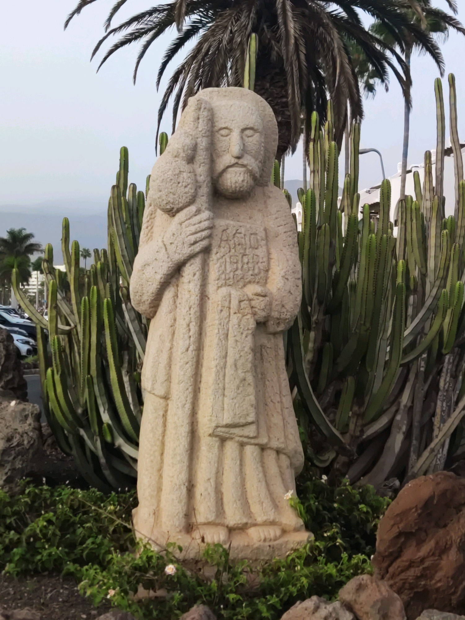 A stone statue of a man carrying a lamb on his shoulders stands in front of a cluster of tall, green columnar cacti. The statue is weathered and appears to be made of sandstone. The man has a beard and a serene expression, and he wears a robe. Inscriptions are visible on the chest of the statue. Behind the cacti, palm trees and buildings are visible, suggesting an urban or semi-urban environment, possibly a park or garden. The foreground shows rocks and green foliage with small white flowers. The overall scene is likely located in a warm climate, consistent with Arona, Spain, known for its volcanic landscape and coastal vegetation. The statue is positioned centrally in the frame, dominating the foreground. The background is slightly blurred, indicating a shallow depth of field.