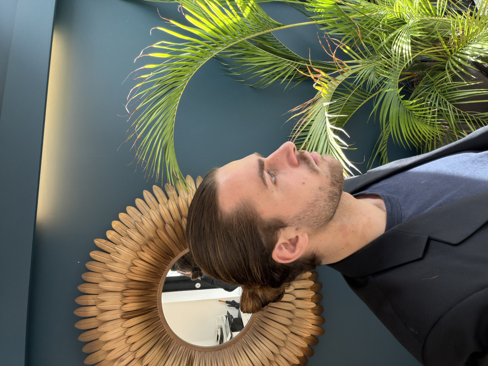 The media file displays an indoor scene, rotated 90 degrees counter-clockwise. The central subject is a man, viewed from the right side in profile, looking upwards. He has brown hair styled in a bun, stubble or a short beard, and is wearing a dark t-shirt underneath a dark jacket.
The background features a dark teal or blue-green wall. A large, vibrant green plant, resembling a palm, is prominent in the upper right portion of the frame (which would be the top in an upright orientation). Its leaves are brightly illuminated by what appears to be natural sunlight. In the lower left portion of the frame (which would be the bottom in an upright orientation), there's a large, round, golden decorative mirror with a sunburst-like frame. The mirror reflects a bright interior space, showing what looks like a light-colored wall, a dark umbrella or object, and some indistinct furniture.
The scene is brightly lit by natural light, suggesting it is daytime. The man's gaze is directed upwards, implying observation or contemplation rather than a specific activity. No visible text is present in the image. The setting, located in Paris, France according to the context, is characterized by stylish interior design elements like the accent wall, decorative mirror, and tropical plant.