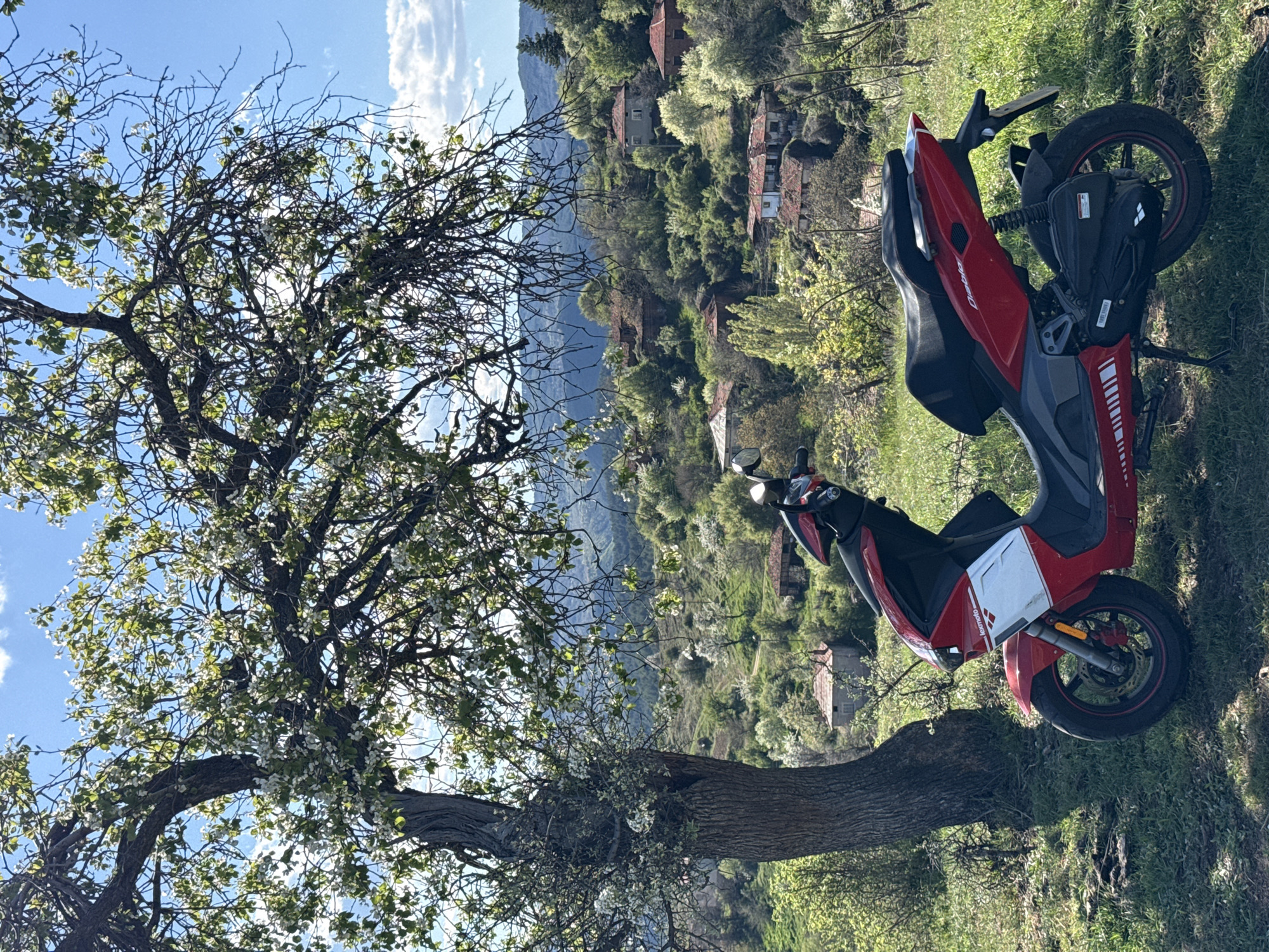 A bright, sunny, daytime outdoor scene shows a red and gray moped parked on a grassy hillside near the village of Tsarvishte, Bulgaria. The moped is resting on its kickstand, with its rear facing the upper right corner of the image. The hillside slopes gently downward from right to left.
A gnarled tree with emerging white blossoms dominates the left side of the frame. Beyond the tree, a collection of houses with red tile roofs can be seen nestled into the slope in the background. A mountain range is visible in the distance, behind the village, under a clear blue sky with scattered clouds. The overall composition suggests a rural setting.