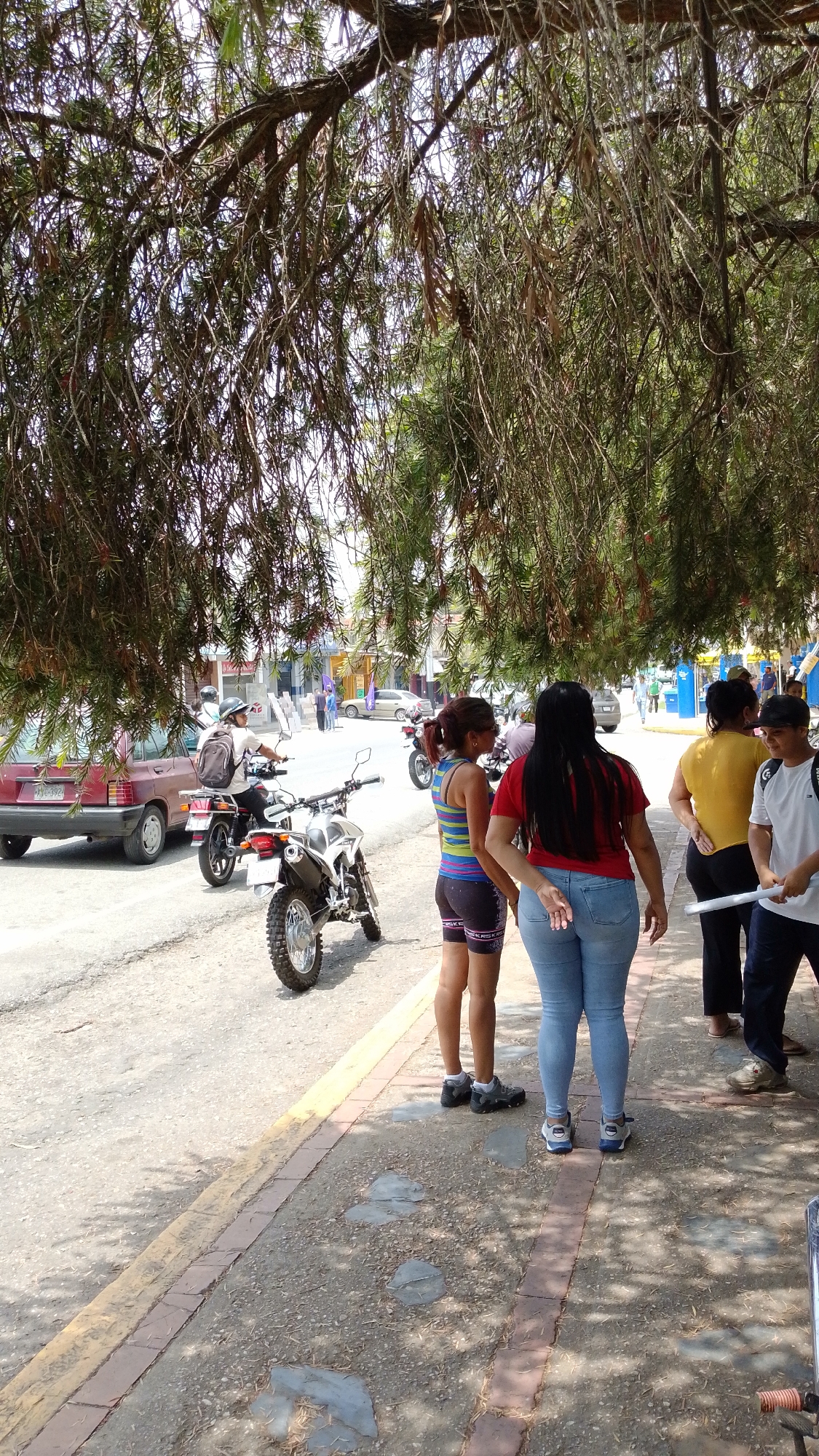 The image captures a vibrant street scene, likely in Tinaquillo, Venezuela, under a canopy of dense, hanging foliage that provides shade. The setting appears to be a paved road alongside a sidewalk, with buildings visible in the background.
In the foreground, several people are present. On the right, a woman in a red t-shirt and light blue jeans stands with her back to the camera. Next to her, a woman in a yellow t-shirt and dark pants, also facing away. A young man or boy in a white t-shirt and dark cap, carrying a backpack, stands further right, holding a white cylindrical object. Closer to the left, another woman wears a striped (blue, green, yellow) sleeveless top and dark shorts with a visible pattern that includes "SKSKE" text.
On the paved road, a white and silver dirt bike-style motorcycle is parked or stopped, its rear wheel and exhaust visible. Behind it, a person wearing a helmet and backpack is seated on a dark motorcycle, facing away from the viewer. Further down the road, a red sedan car is parked on the left, displaying a partial license plate "AWS-392". Another light-colored sedan is visible in the distance.
The lighting suggests bright daylight, possibly midday, with strong shadows cast on the sidewalk and road, indicating sunny weather. The overall atmosphere is casual, depicting everyday life in a warm climate. The hanging branches from the trees overhead create a natural, somewhat rustic archway for the street below.