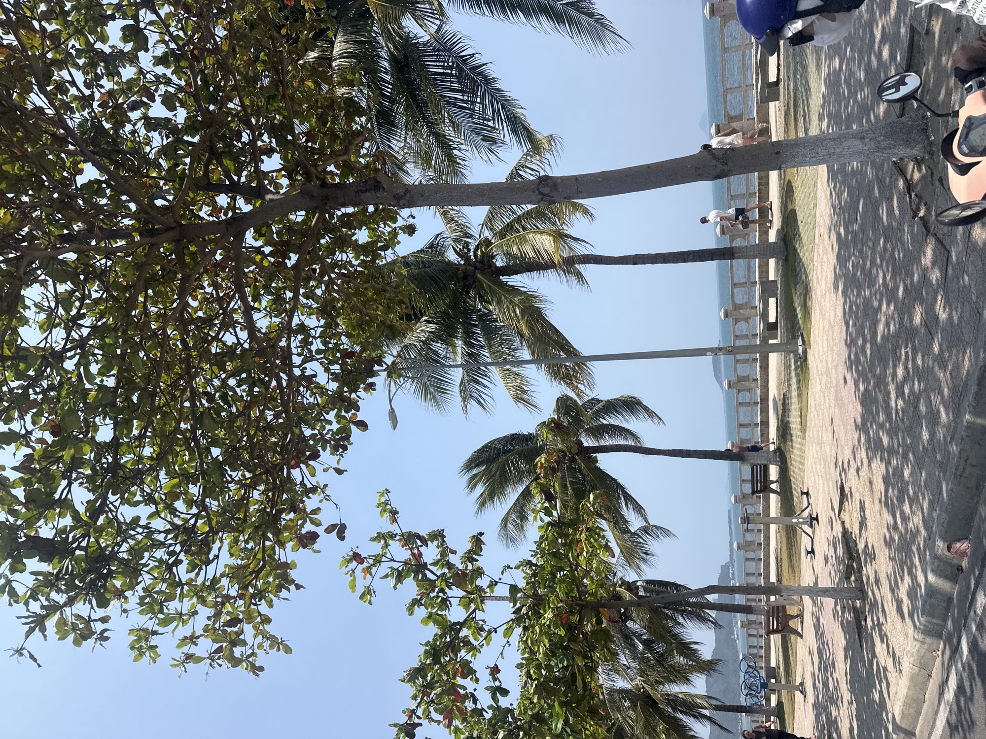 The image depicts a seaside promenade in an urban environment, likely a tropical coastal city. A row of palm trees lines the promenade, casting shadows on the pavement. Pedestrians stroll along the path, with some sitting on benches near the seawall. The sea is visible in the background, meeting the clear sky on the horizon. Streetlights and other infrastructure elements are present along the promenade. Vegetation, including trees with broad leaves, is visible on the left side of the frame. The overall atmosphere suggests a calm and sunny day at the beach. A motorbike is visible in the upper-right corner of the image.