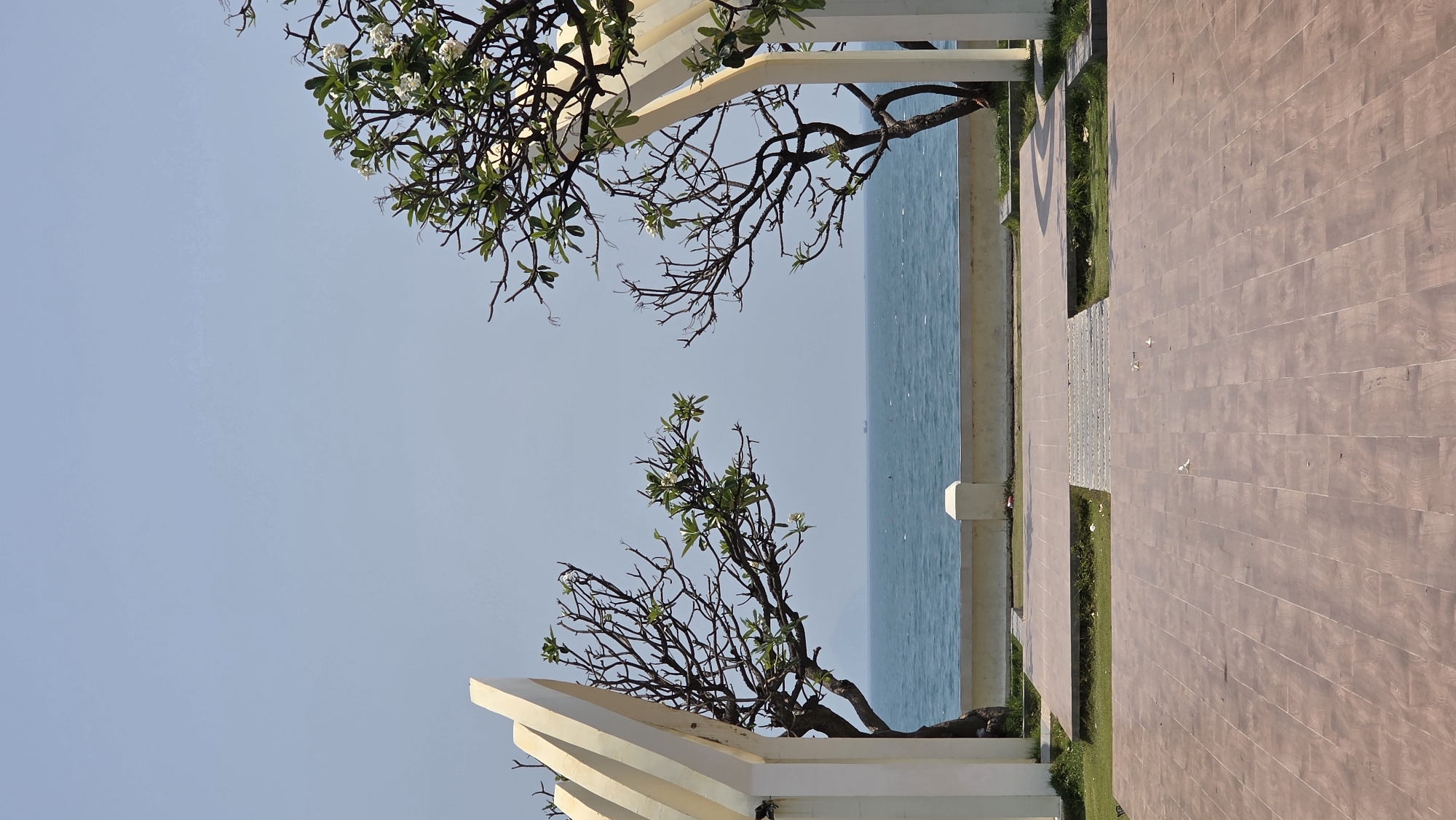 The image captures a serene coastal view, likely from a viewpoint along a walkway. The foreground features a paved area, possibly a promenade or walkway, with sections of grass bordering the walkway. In the middle ground, the ocean extends towards the horizon under a clear blue sky. Two trees with sparse foliage are visible, framing the ocean view. The trees are growing near or on a structure, possibly part of the walkway's architecture. There is no evidence of people in the image. This is potentially a scene in Nha Trang, Vietnam, given its known coastal setting and architecture.