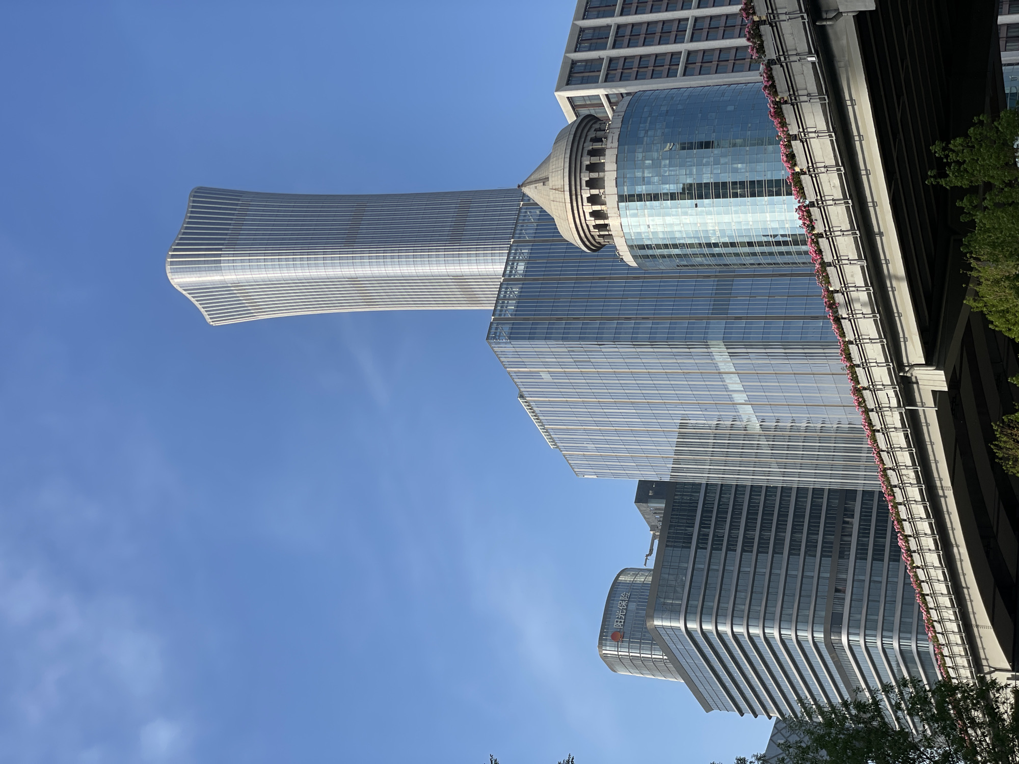 The image shows a low-angle view of modern architecture in Chaoyang District, China. The sky is a clear blue. Several high-rise buildings are visible. One is a curved, streamlined tower, another features a cylindrical glass structure. There are also rectangular glass buildings. Some greenery is present at the lower edge of the frame.