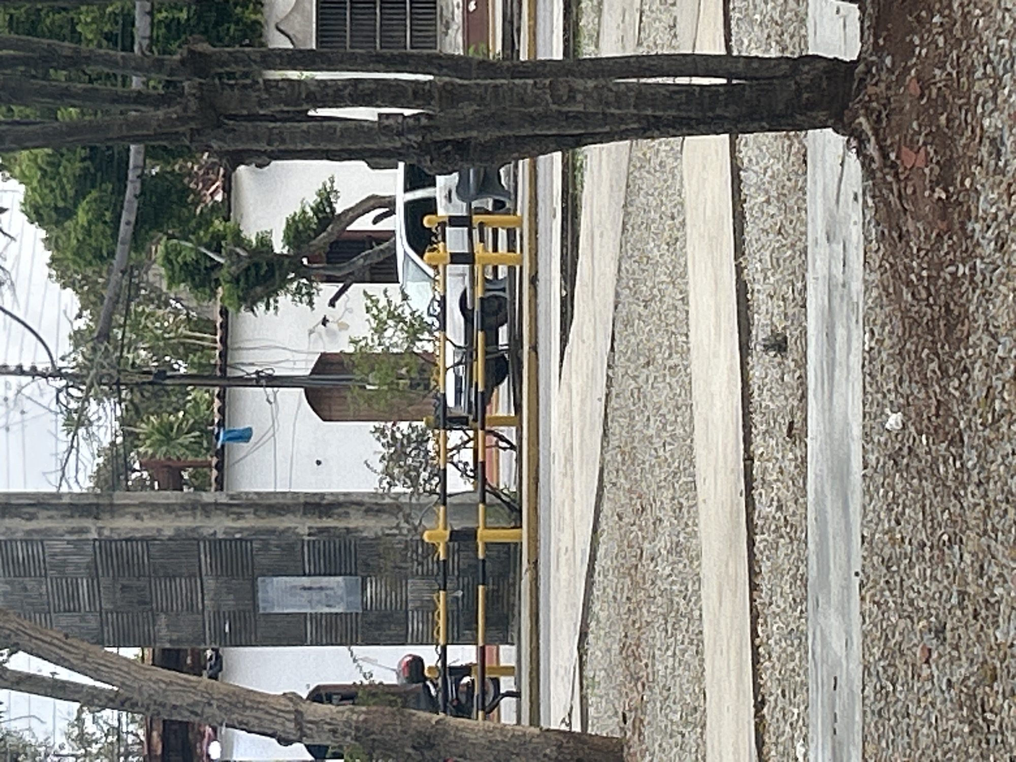 The image captures a street scene in Santa Ana, Venezuela, featuring a white SUV parked behind a yellow and black barrier fence. In the foreground, a large tree trunk is prominent, with exposed roots and surrounding gravel. The background reveals a white building with arched doorways and windows with barred coverings. To the left, a motorcycle is partially visible behind the barrier. The sky is overcast, suggesting a cloudy day. The scene appears to be in an outdoor, urban setting.