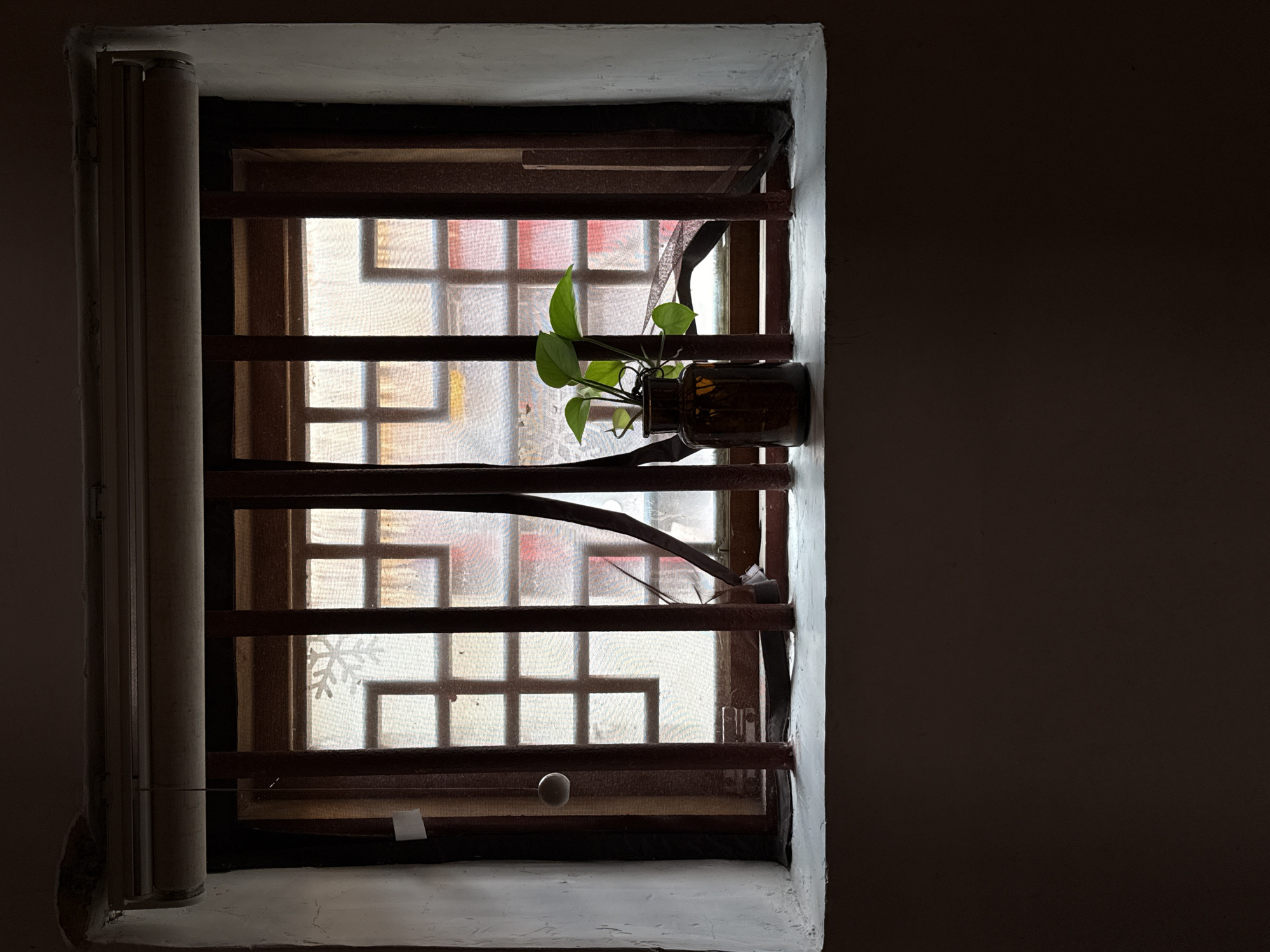 A small, potted plant with green leaves sits in a brown glass bottle on the windowsill of a grimy window. The window is covered by metal bars and a sheer, patterned curtain. Outside the window, the blurred lights of what appears to be a city at night are visible. The scene is framed by the dark interior of a room. The image was taken in Longgang District, China.