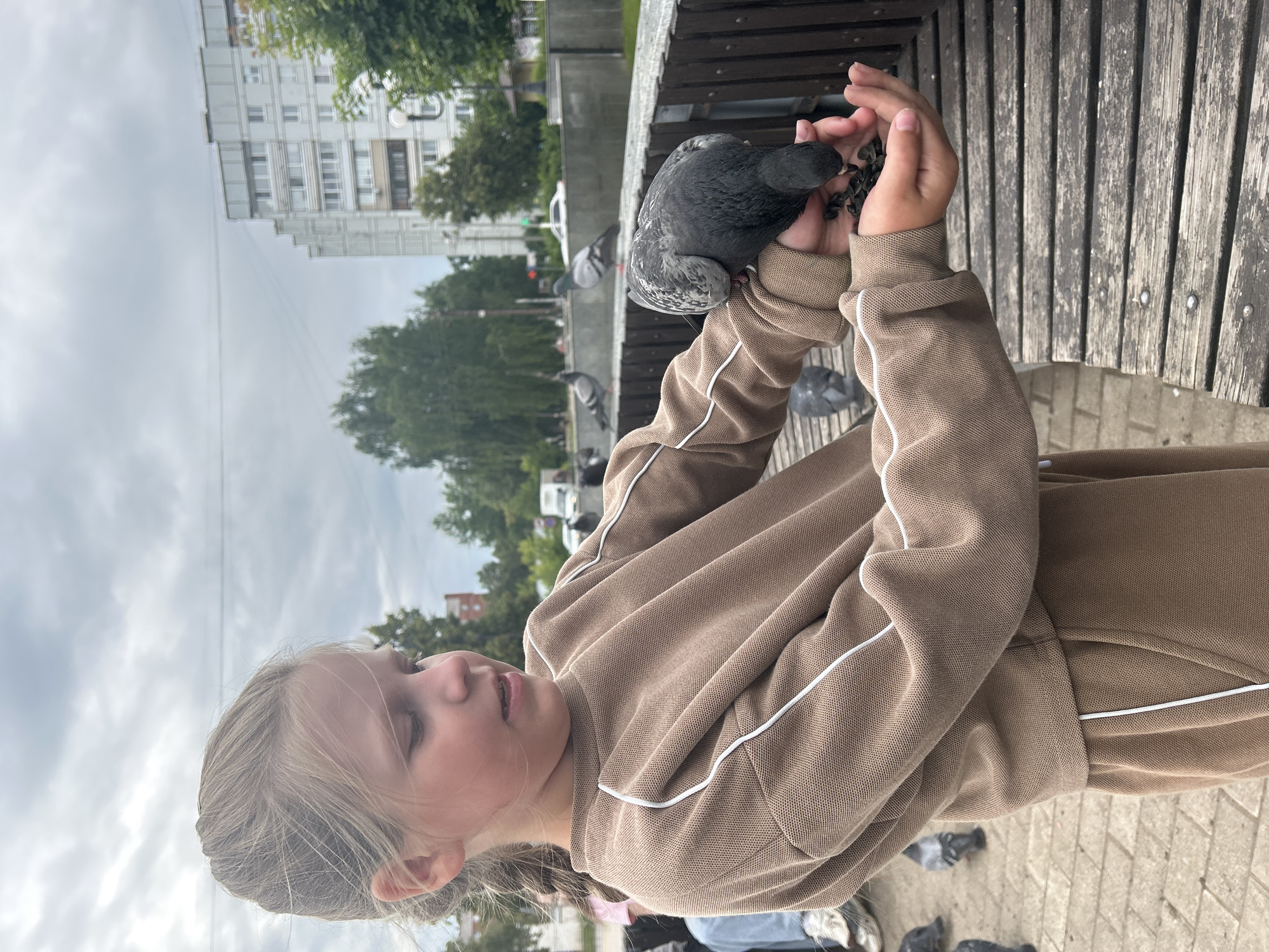 A young girl with blonde hair in braids is holding a pigeon in her hands, offering it seeds. She is wearing a light brown sweatshirt with white trim. The scene takes place outdoors, with a blurred background showing trees, a building, and pigeons on the ground. The weather appears overcast. The girl's expression is one of concentration and gentleness as she interacts with the bird. The setting seems to be a public space, possibly a park or square, with a wooden bench and paved ground. The image is oriented vertically, with the girl and pigeon appearing to be in the foreground.
