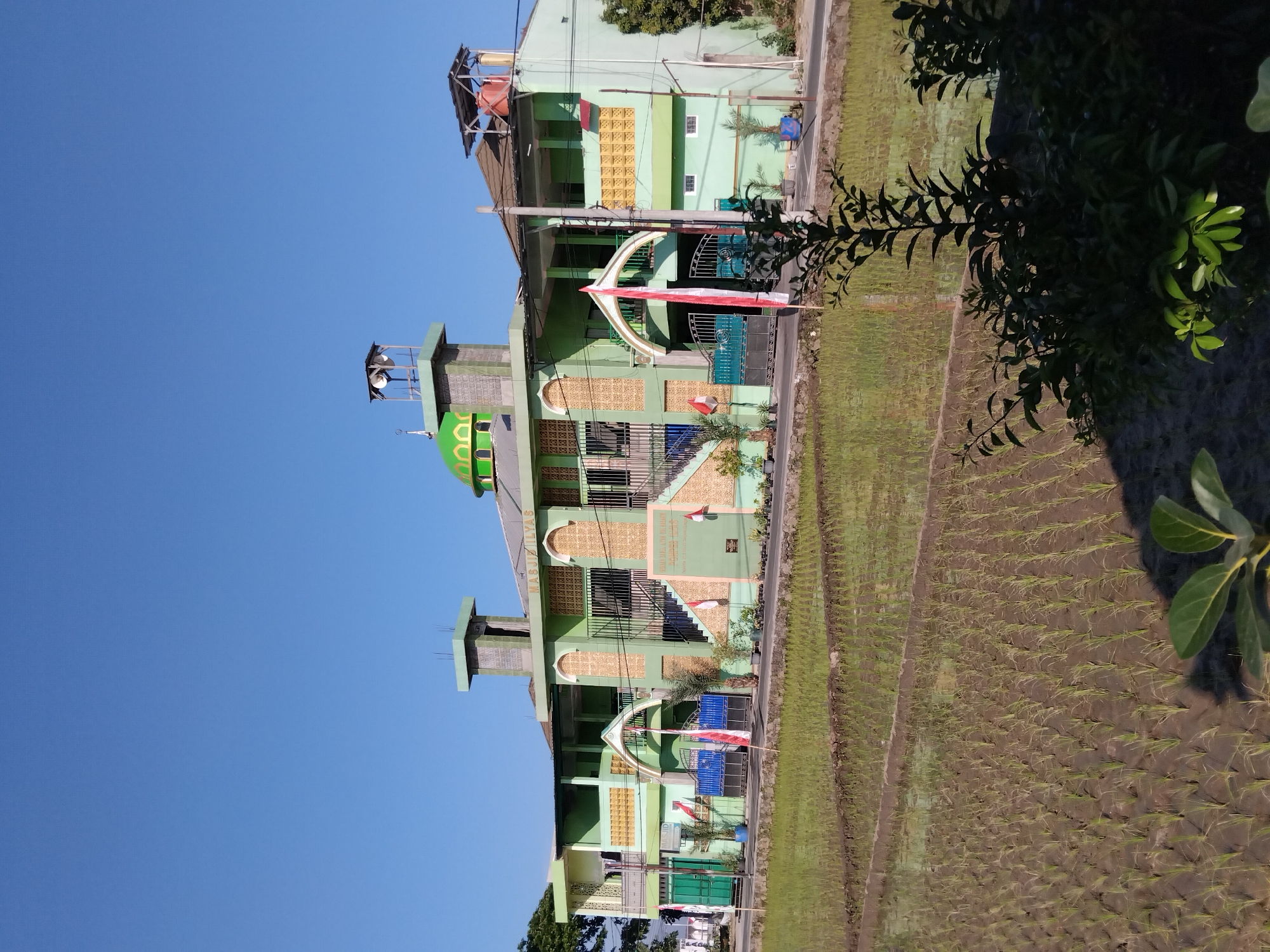 The image shows a light green mosque with a green dome, situated in Papahan, Indonesia. The mosque has a multi-story structure with several entrances and windows. It is decorated with bamboo-like latticework and has two prominent towers, one with a speaker system. Indonesian flags are visible in front of the mosque. The mosque is located next to a rice paddy field, which is filled with young rice plants. The sky is clear and blue. In the foreground, there are some leafy plants casting shadows. The scene appears to be captured during the daytime.