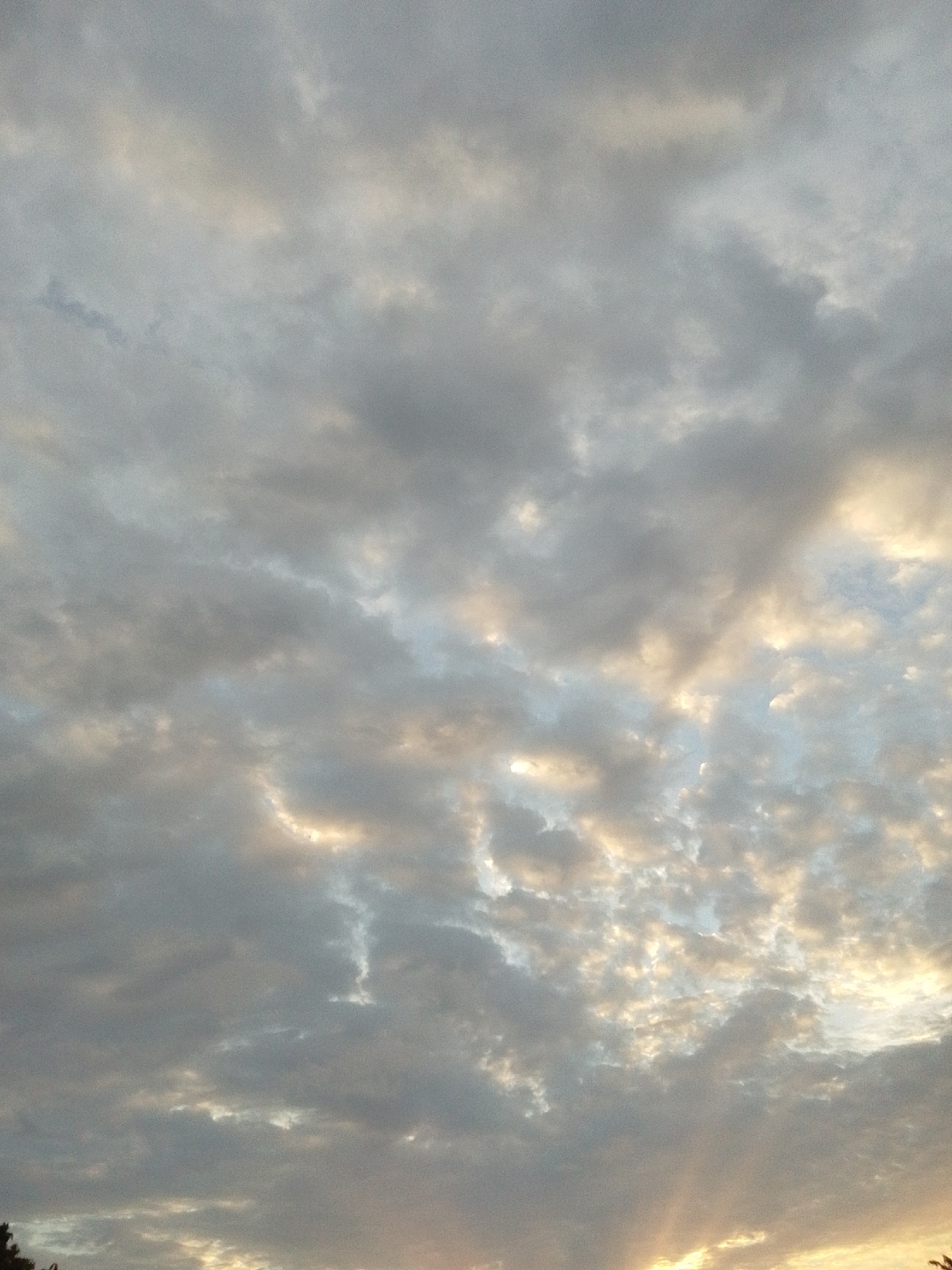 The image captures a sky filled with a mix of dark gray and lighter, yellowish clouds. The clouds appear dense and textured, with some areas illuminated by sunlight peeking through. The bottom of the image shows a sliver of what appears to be trees or vegetation, silhouetted against the brighter sky. There are no people or discernible objects in the frame other than the clouds and a hint of natural landscape. The overall impression is of a cloudy day with some sunlight breaking through, possibly during sunrise or sunset. The location is Serti, Nigeria.