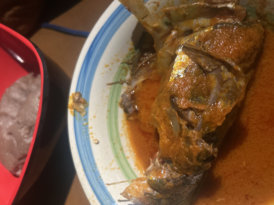 The image displays a prepared meal in Egbe, Nigeria. The foreground is dominated by a ceramic bowl, featuring blue, white, and green concentric stripes around its rim. Within this bowl, a whole cooked fish is submerged and heavily coated in a vibrant reddish-orange stew or sauce. Visible elements of the fish include portions of its skin, some bones, and remnants of fins, all saturated with the sauce. In the blurred background, a red plastic bowl contains a light grey, semi-solid, textured food item, indicative of a traditional Nigerian "swallow" staple. The overall environment appears to be an indoor setting, likely a dining table, suggested by the dark, out-of-focus background. There are no individuals present in the frame.