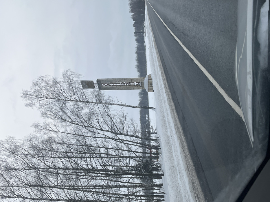 The image displays a winter roadside scene in Butyrki, Russia, viewed from inside a vehicle. A dark asphalt road, marked by a solid white center line, occupies the foreground and recedes into the distance, with snow partially covering its shoulders. To the right of the road, a prominent, tall grey monument stands on a snow-covered base. Its rectangular pillar bears vertical Cyrillic lettering that spells "БУТЫРКИ" (Butyrki), topped by a smaller, dark rectangular sign. To the left of the road, a dense cluster of bare deciduous trees, primarily birches, rises from snow-covered ground. Several small, snow-dusted structures are faintly visible through the trees on the left side of the frame. Beyond the monument and the road, a flat, snow-covered field extends to a distant treeline. The sky is uniformly overcast and grey. No individuals are present.