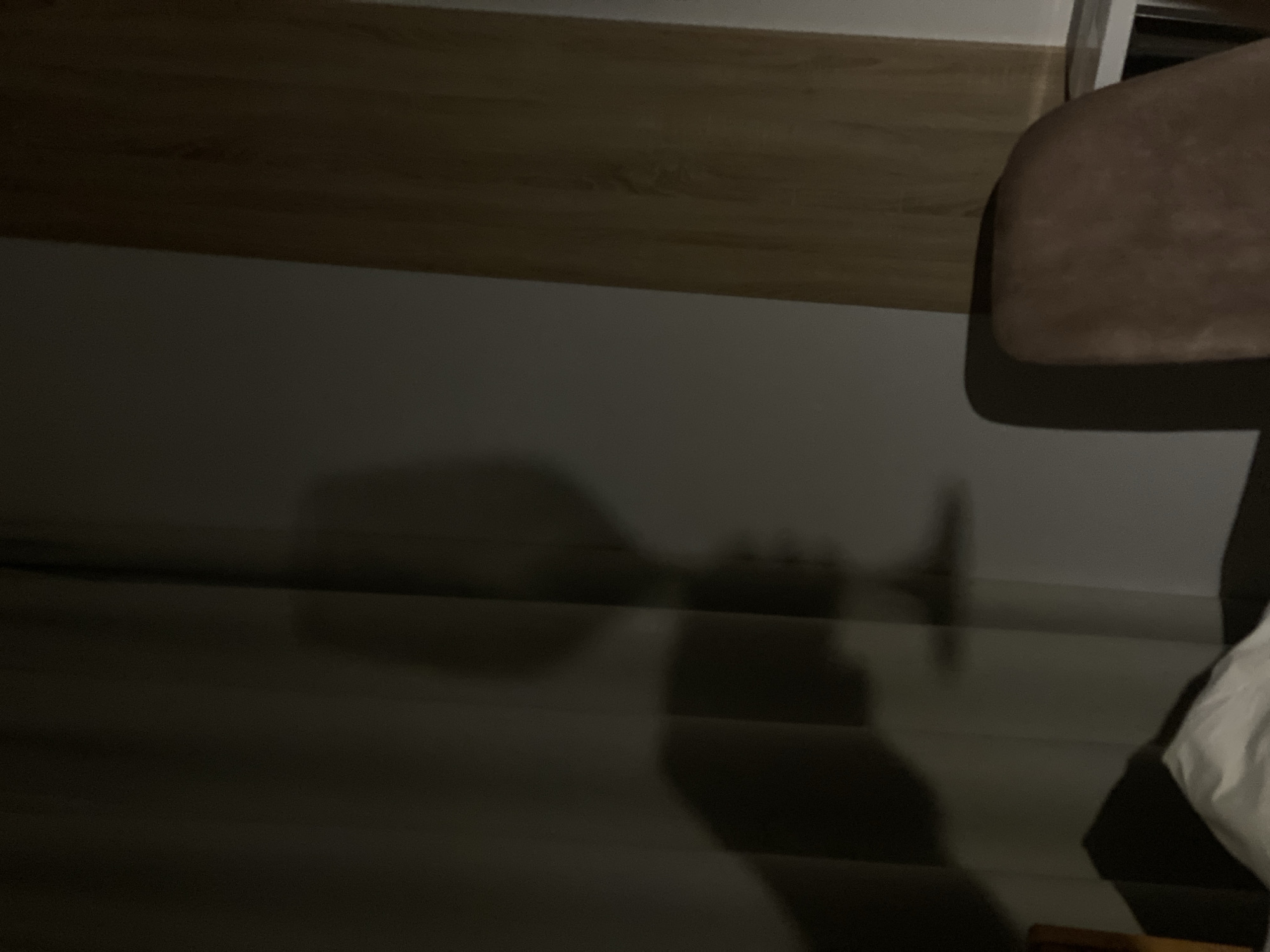 The image depicts a dimly lit interior scene. In the upper portion of the image, a wooden surface is visible. A blurred shadow in the lower portion resembles a person holding an object, possibly a microphone or a similar handheld device. The background appears to be a wall, partially illuminated, with horizontal lines. The location and city details are not discernible from the given image.