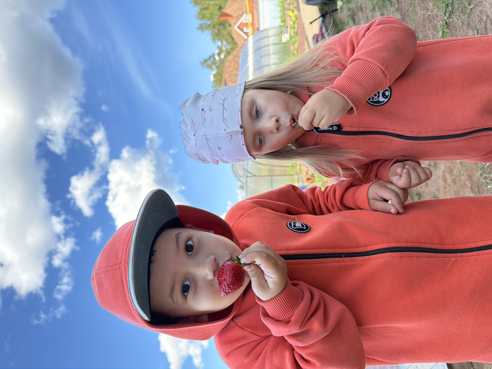 Two young children are eating strawberries outside. The child in the foreground is wearing a red hooded sweatshirt with a gray brimmed cap and is holding and biting into a large strawberry. The child in the background is wearing a red sweatshirt and a patterned white cap and is eating a strawberry with green leaves still attached. The sky is visible behind them with blue sky and white clouds. A greenhouse and building can be seen in the background. The image was taken outdoors, with a tilt in the camera angle. It is not possible to confirm the location in the city of Chaikovsky, Russia.