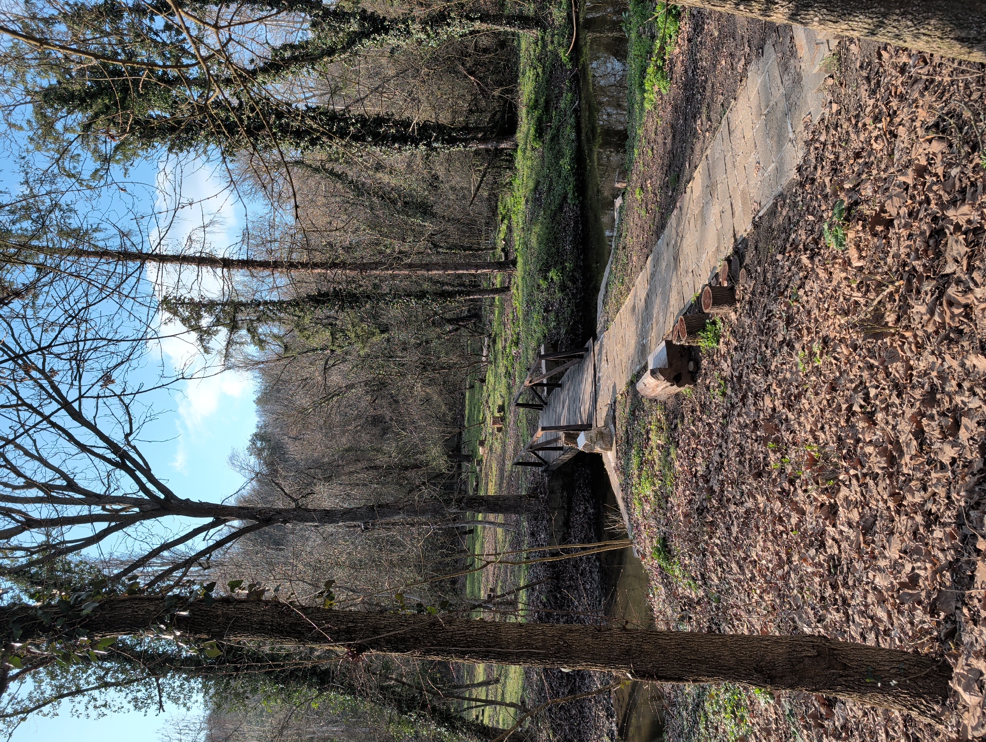 The image depicts a wooded area with a small stream spanned by a wooden bridge. A stone walkway runs along the right side of the stream, lined with tree stump seats. The ground is covered in fallen leaves. Bare trees rise on either side, with a patch of blue sky visible above. The location is in the city of Pleven, Bulgaria.