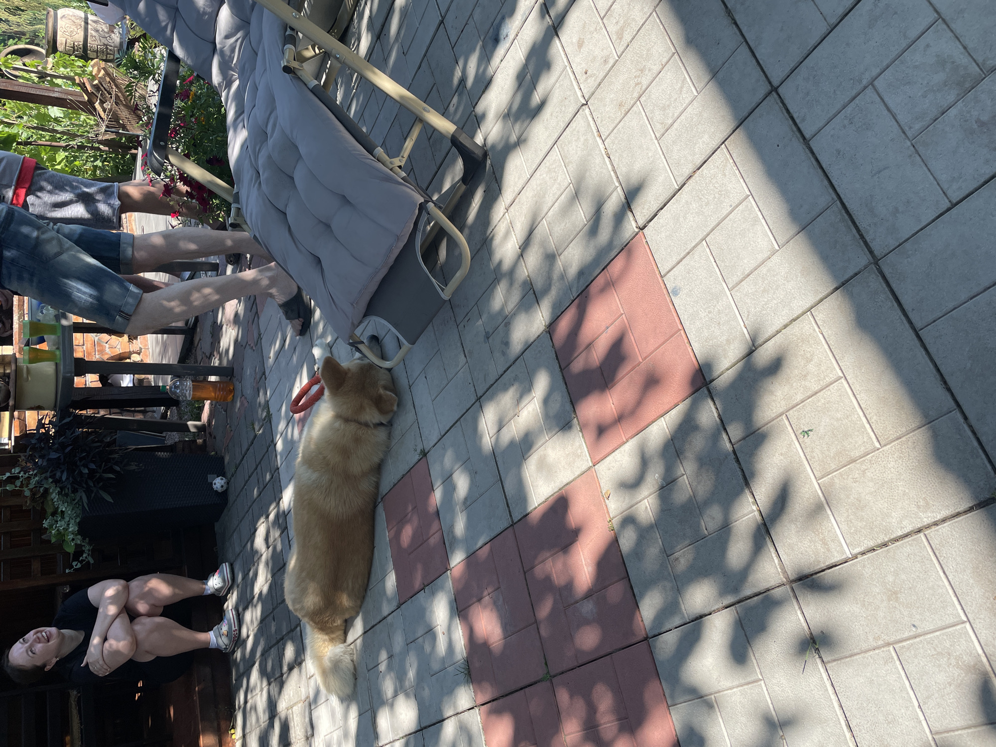 In Kobeliaky, Ukraine, on a sunny day, a light-colored dog lies on its side on a tiled patio, its head resting on the ground. Nearby, a woman in a black t-shirt and shorts sits on steps, smiling upwards with her arms crossed. A lounge chair with a gray cushion is positioned to the right of the dog, and in the background, two individuals stand near a table with drinks, amidst greenery and a wooden structure. The patio is paved with a pattern of light gray and reddish square tiles, with dappled sunlight casting shadows from overhead foliage.