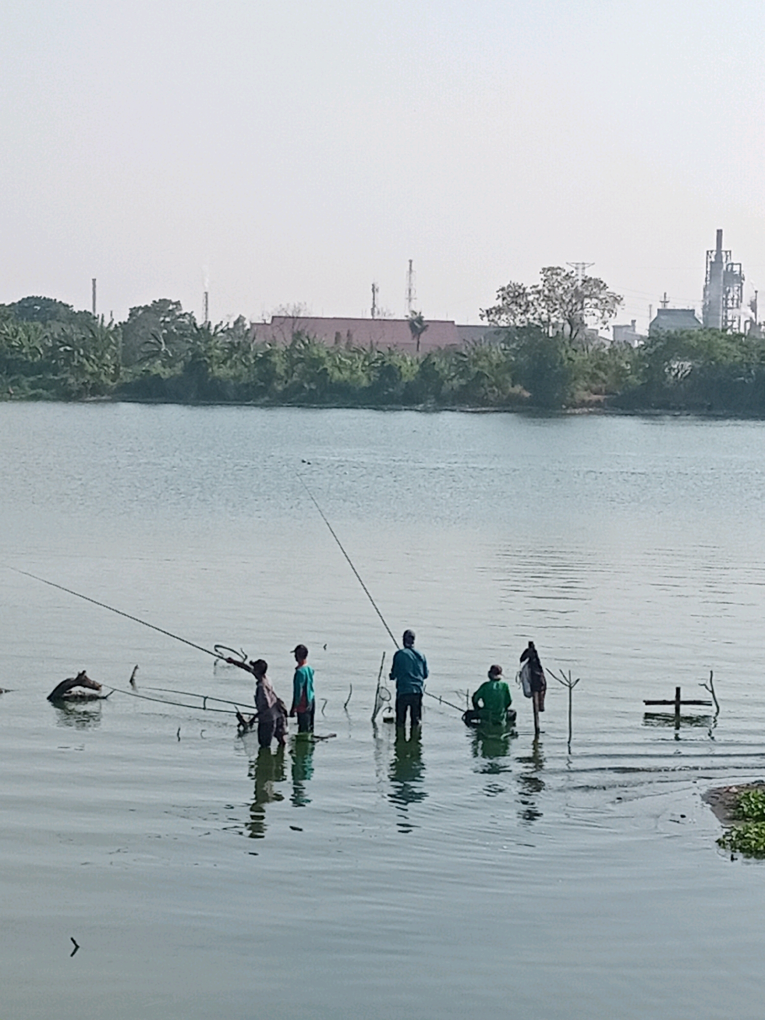 In Karangturi, Indonesia, a group of individuals are fishing in a body of water. Six people are visible, all standing in the shallow water. They are using long fishing rods, with some rods extending out of the frame. One individual is actively casting or retrieving a fishing line, holding a net. In the background, across the water, is a treeline with a few structures and industrial smokestacks visible above the trees, indicating an industrial area adjacent to the natural landscape. The water is calm with ripples and reflections. The overall scene depicts a fishing activity with an industrial backdrop.