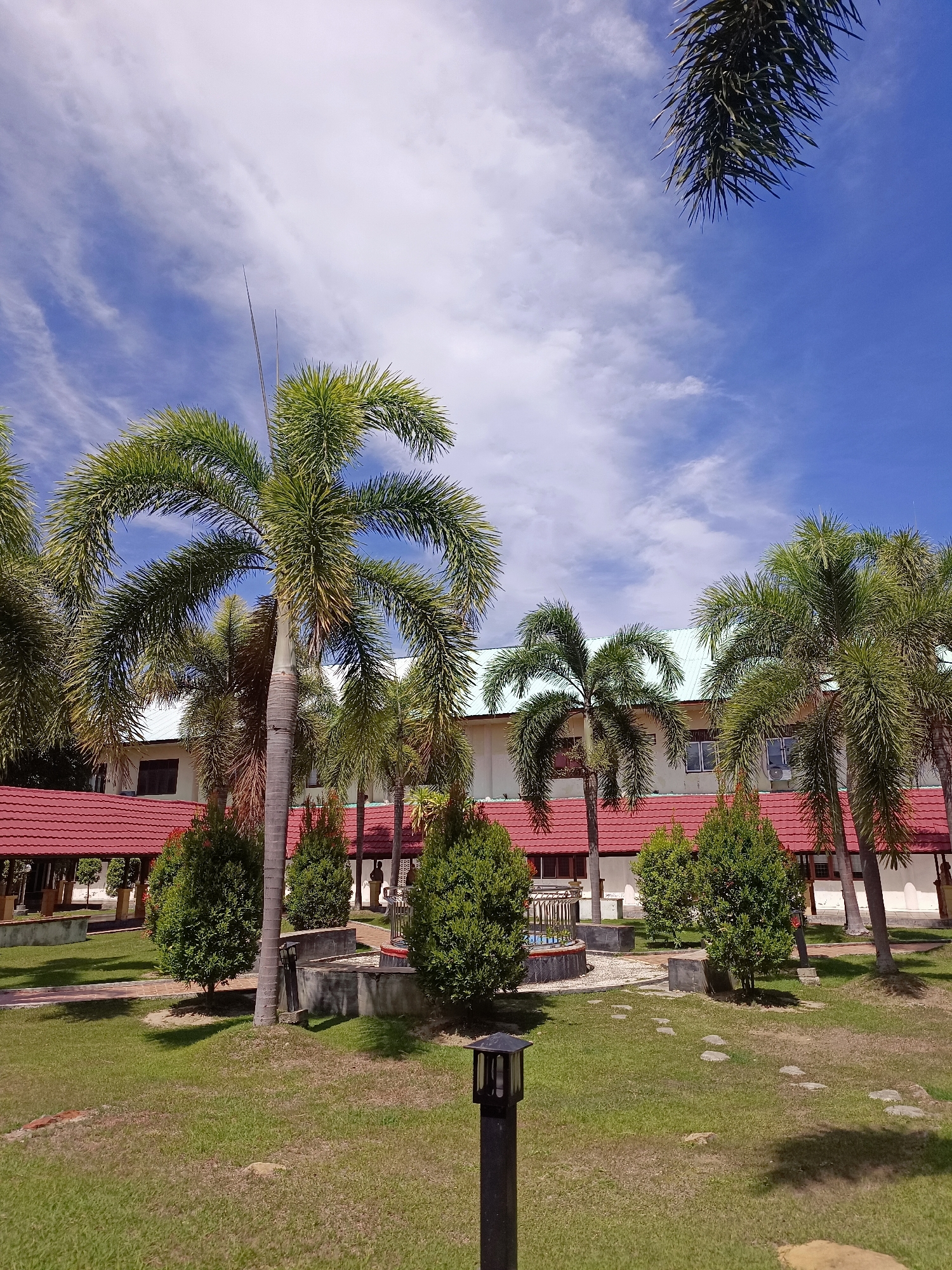 The image depicts a clear blue sky with wispy white clouds over a building complex in Mesjid Reuntoh, Indonesia. The building features a light-colored facade and a prominent red tiled roof. Several palm trees with lush green fronds are scattered throughout the foreground and midground, casting shadows on the well-maintained green lawn. Small, manicured evergreen shrubs are also present, arranged in the courtyard. A pathway of stepping stones leads across the lawn, and a black lamp post is visible in the foreground. In the midground, there is a circular water feature with blue water. The scene appears serene and tropical.