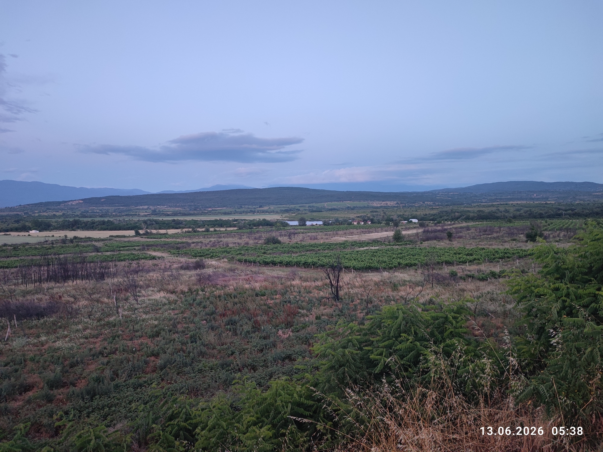 The image shows a panoramic view of a rural landscape at dawn, with rolling hills and cultivated fields. In the foreground, there is dense green foliage and dry grass. The middle ground features a vineyard with rows of green plants, interspersed with patches of dry, burnt vegetation and a few standing dead trees. Further in the distance, there is a small body of water with some structures on its banks, and a cluster of houses. The background consists of layered hills and mountains under a pale blue sky with soft clouds. A date and time stamp, "13.06.2026 05:38", is visible in the lower right corner. The scene depicts a peaceful, undeveloped area, likely the outskirts of Kalugerovo, Bulgaria.