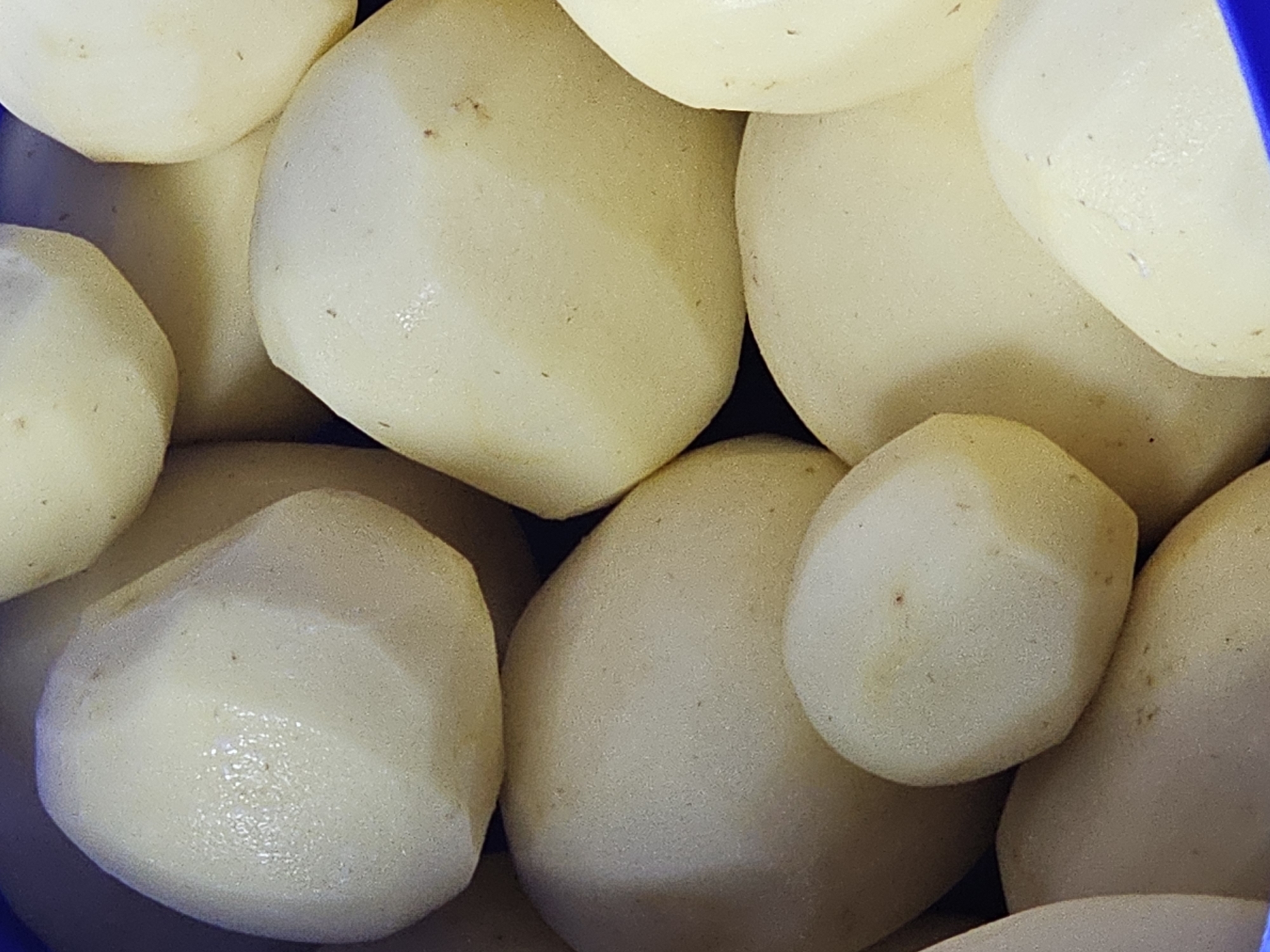 The image shows a close-up of a collection of peeled potatoes. The potatoes are various sizes and shapes, with a predominantly pale yellow to cream color. Some of the potatoes have small blemishes or marks. The background is dark and out of focus. No people or specific objects are visible to suggest a location in Holywell, United Kingdom.