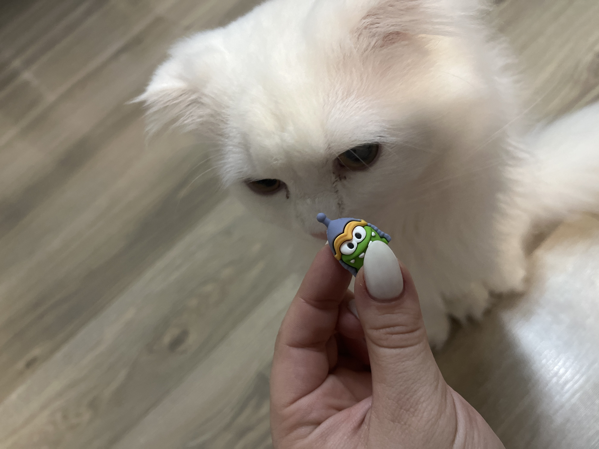 A person's hand, with manicured nails, holds a small, green cartoon character with a purple hat. The character has large, round eyes with black pupils and an orange stripe across its forehead. The hand is positioned in front of a fluffy white cat that is looking down at the toy. The cat has light brown eyes and its fur is long and soft. The scene takes place indoors, on a light-colored wooden floor. The lighting suggests it could be daytime, but no specific time can be determined. The overall mood is playful and gentle, with the person offering the toy to the cat. There is no visible text in the image.