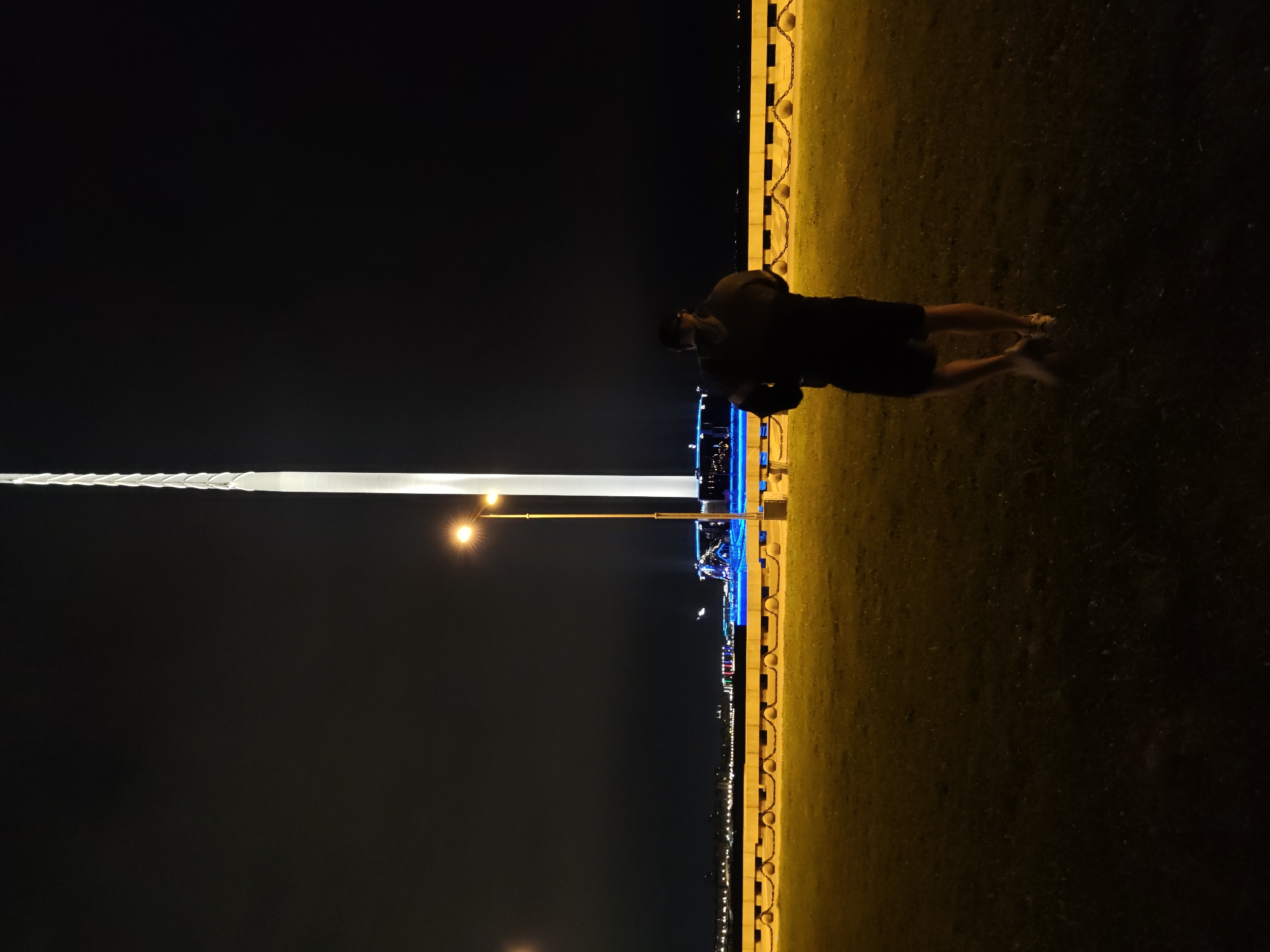 A person stands in a park at night, facing a large, illuminated tower and a body of water. The tower is white and appears to be made of multiple segments, tapering to a point. In the background, a boat with colorful lights is visible on the water, along with a long, yellow embankment lined with lights. The park has a grassy area in the foreground, with two streetlights illuminating the scene. The person is wearing a dark hoodie and shorts and appears to be holding something in their arms. The sky is dark and clear, indicating it is nighttime. This scene is likely Saint Petersburg, Russia, given the presence of the illuminated tower, which resembles the Lakhta Center.