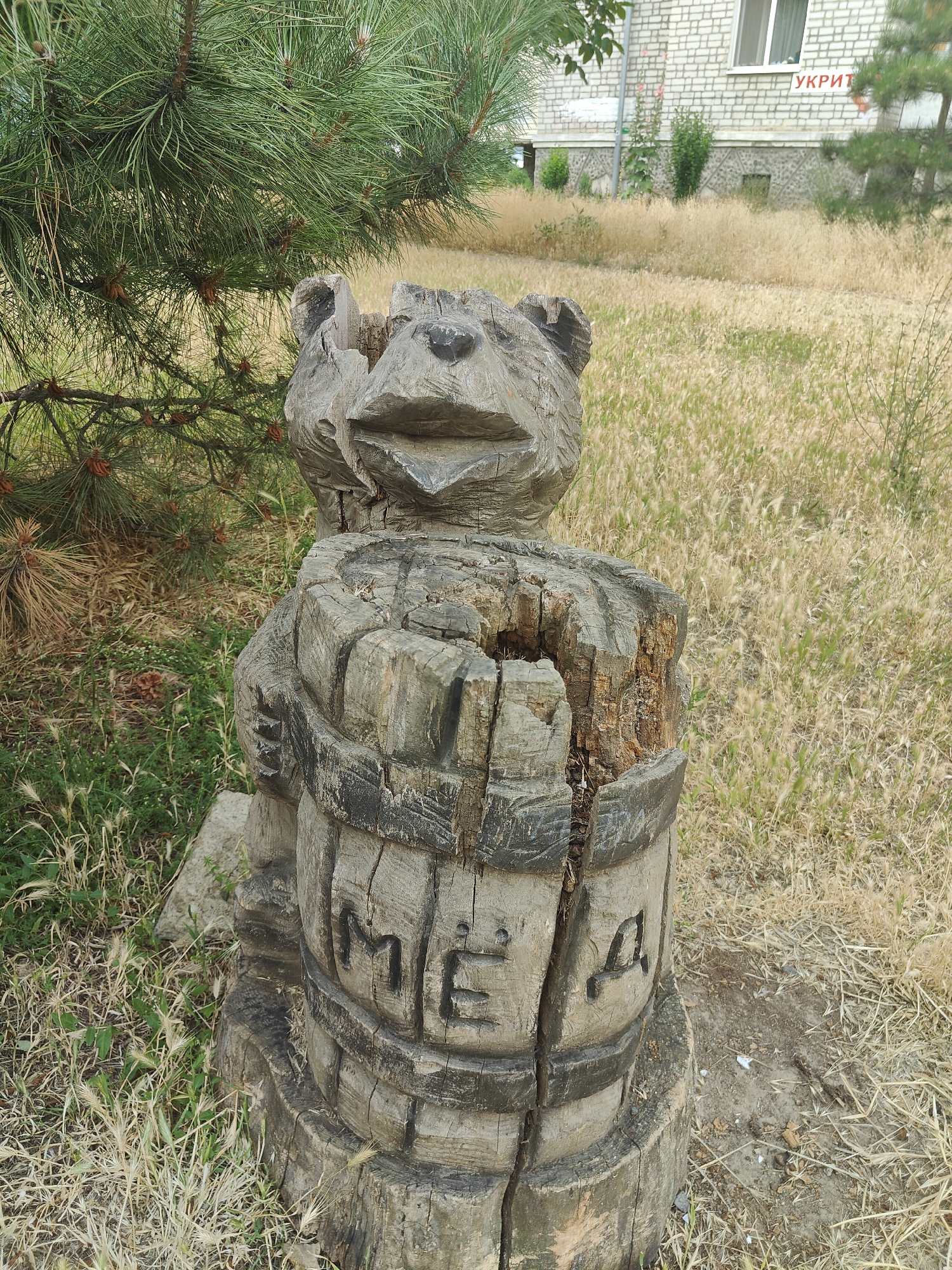 The image displays a whimsical wooden sculpture of a bear carved from a tree stump. The bear has a crudely carved, smiling face with dark, beady eyes and an open mouth. Its body appears to be made from a hollowed-out log, with the top section split and open, revealing the weathered wood inside. The bear is depicted with its arms wrapped around the log. The sculpture is situated outdoors, with dry, yellowish grass and scattered greenery forming the foreground and background. A large pine tree with dense needles extends from the upper left of the frame, partially shading the sculpture. In the background, a brick building with windows is visible, and a red sign with white lettering is affixed to its side. The overall scene suggests a casual, possibly park-like setting. The dry grass implies it might be a warm, sunny day, possibly in the summer or late spring. The sculpture appears to be a decorative piece rather than a functional object, adding a touch of rustic charm to the outdoor environment. The visible text on the log sculpture is "МЕД". The building in the background has a sign that says "УКРІТ".
