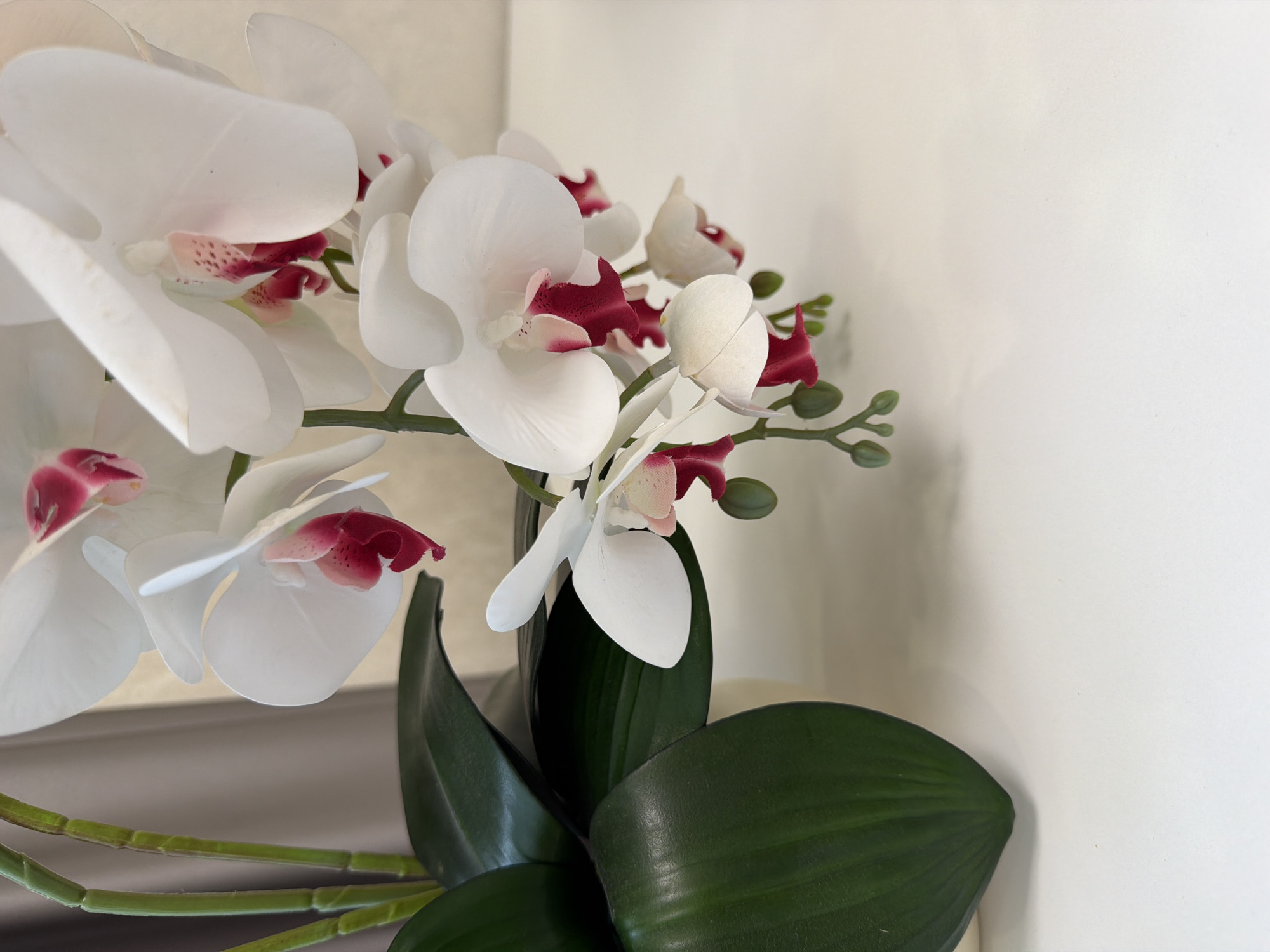 The image displays a close-up, high-angle shot of a white orchid plant with vibrant pink and red accents. The plant features several blooms, some fully open and others still in bud form. Lush, dark green leaves are visible at the bottom left of the frame, with thick, segmented green stems supporting the flowers. The background consists of a neutral, textured wall and a sheer grey curtain. The scene is set against a clean, white surface, likely a tabletop or shelf, which occupies the lower half of the image. There are no people or animals present, and the overall impression is one of artificiality, suggesting the orchid is a decorative artificial plant. The lighting is soft and even, highlighting the textures and colors of the orchid. The location is described as Unknown, Unknown.