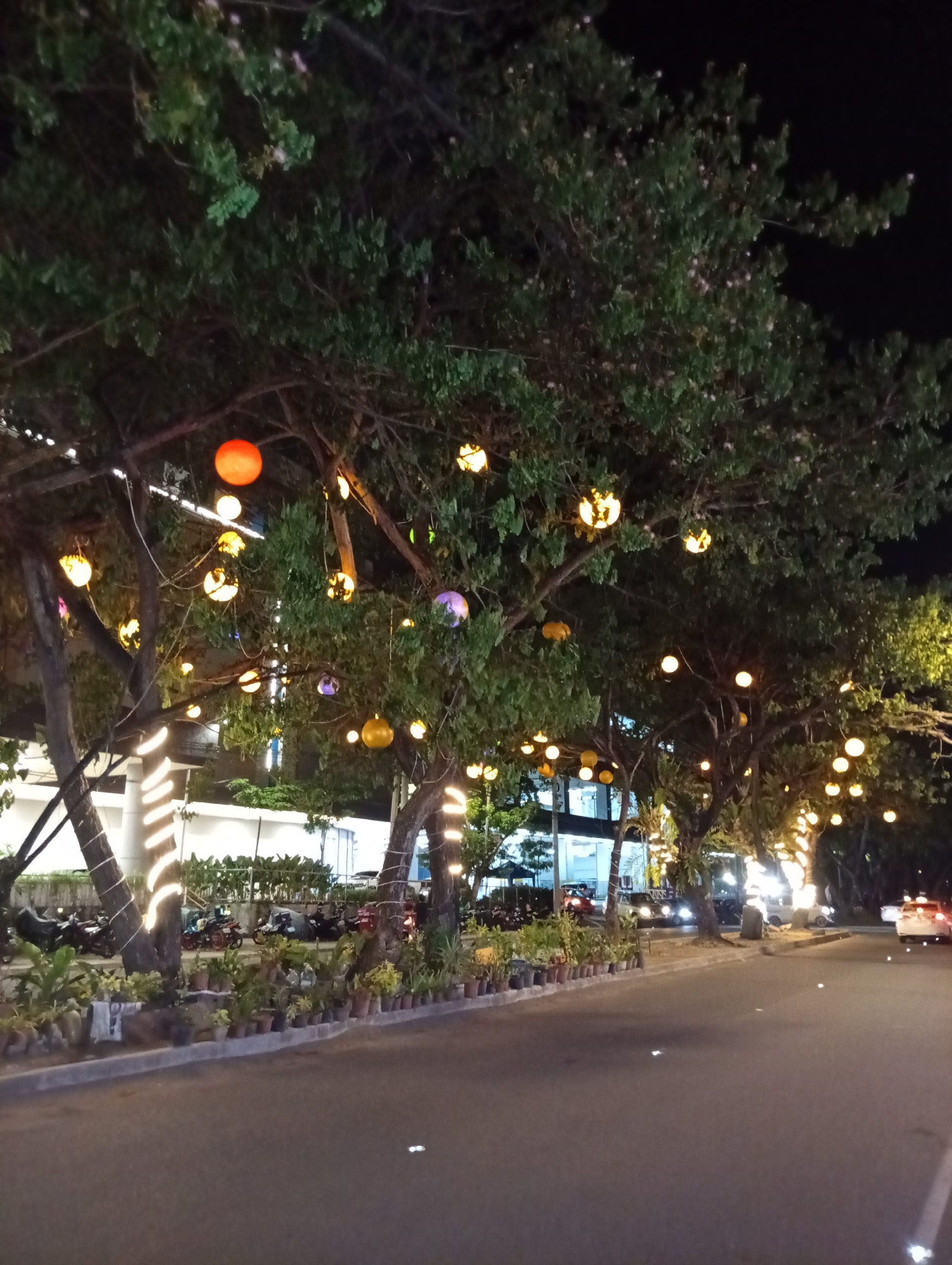 Night scene in Davao City, Philippines. A row of trees lines a street, decorated with strings of round, glowing lanterns. The tree trunks nearest the viewer are wrapped with vertical strands of white lights. Small potted plants line the base of the trees along the curb. Parked motorcycles are visible behind the plants. A building with illuminated windows stands in the background. Cars are driving on the street. The sky is dark.