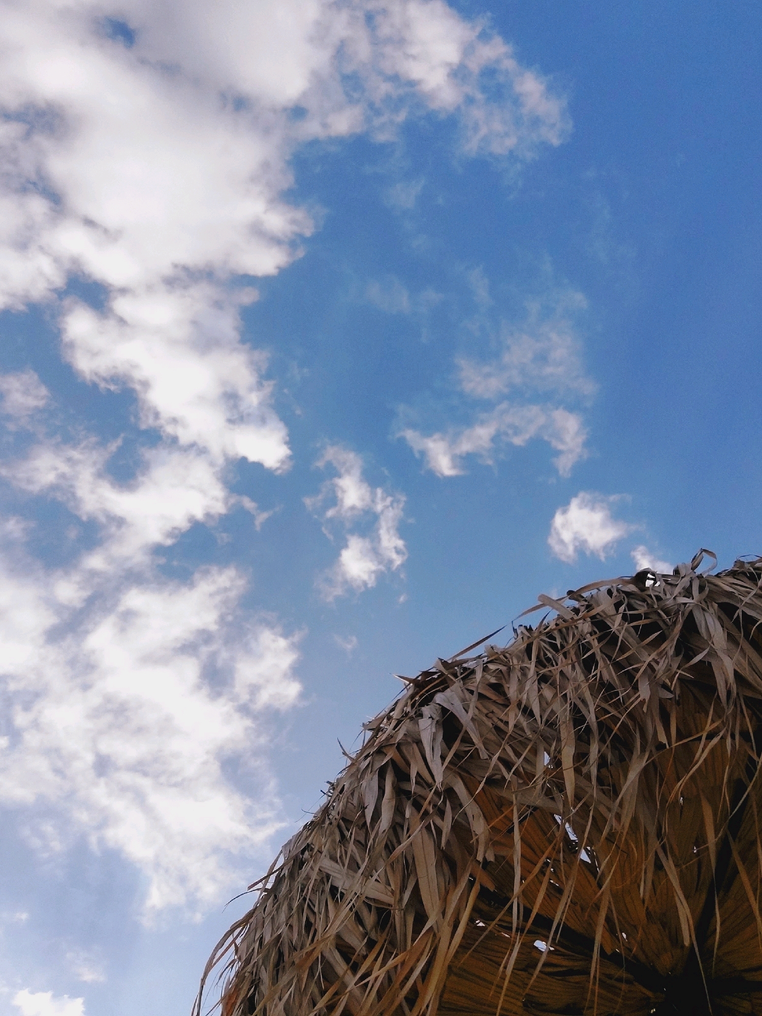 The image shows a section of a thatched roof against a blue sky with scattered white clouds. The roof appears to be made of dried palm fronds or similar vegetation, and it extends from the bottom right corner diagonally upwards towards the left. The sky fills the majority of the frame, with the clouds concentrated in the upper left quadrant. No people or city elements are visible. The context of Sozopol, Bulgaria, suggests this might be a beach umbrella or a part of a beachside structure.