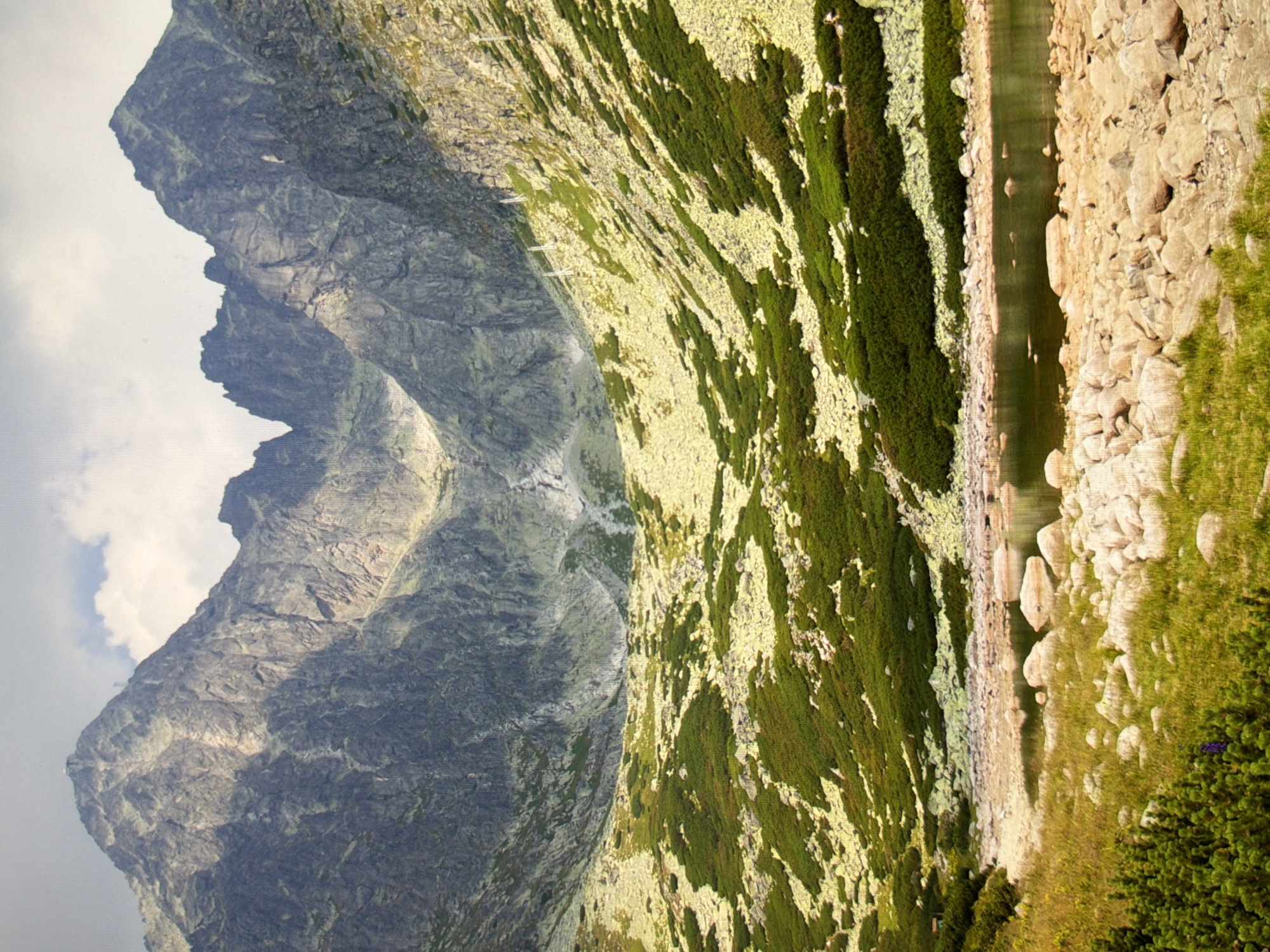 The image depicts a rugged mountain landscape with a lake in the foreground. Towering, rocky peaks dominate the background, their slopes covered in sparse vegetation and scree. A narrow, dark lake sits at the base of the mountains, its surface reflecting the muted colors of the sky and surrounding terrain. The middle ground is a steep, rocky hillside interspersed with patches of low-lying green shrubs and lighter-colored rocks. Some white posts are visible on the hillside, possibly marking a trail or infrastructure. The foreground features a rocky shoreline with scattered large stones and areas of dry grass. A small patch of darker green evergreen bushes is in the lower left corner, with a single purple flower visible. The sky is overcast with some patches of light. There are no people, animals, or man-made structures other than the white posts. This scene is not located in Kyiv, Ukraine, as the environment is a mountainous alpine region, which is not characteristic of the Ukrainian capital.