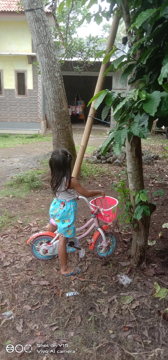 This image captures an outdoor scene in Ranugedang, Indonesia. A young child, seen from the back, occupies the lower center of the frame. The child has long, dark hair styled in two pigtails and is wearing a light-colored sleeveless top and light blue shorts with colorful cartoon patterns. Blue flip-flops are on the child's feet. The child is standing next to a small, pink and light blue bicycle equipped with a red plastic basket on the handlebars, holding the handlebars with both hands. The ground is composed of uneven dirt, covered with scattered dry leaves, thin roots, and sparse green weeds.
In the background, a light-barked tree stands in the mid-left, with a taller bamboo pole leaning against it and extending upwards. Another tree with green foliage is visible on the right. To the far left, a portion of a yellow-painted building with an orange tiled roof and two dark-framed rectangular windows is visible; its lower wall features a grey, textured pattern. In the center-background, an open, dark-walled structure contains colorful laundry hanging on a line. To the right of this structure, a pile of grey rocks is visible. The sky, partially visible through the trees, appears overcast.