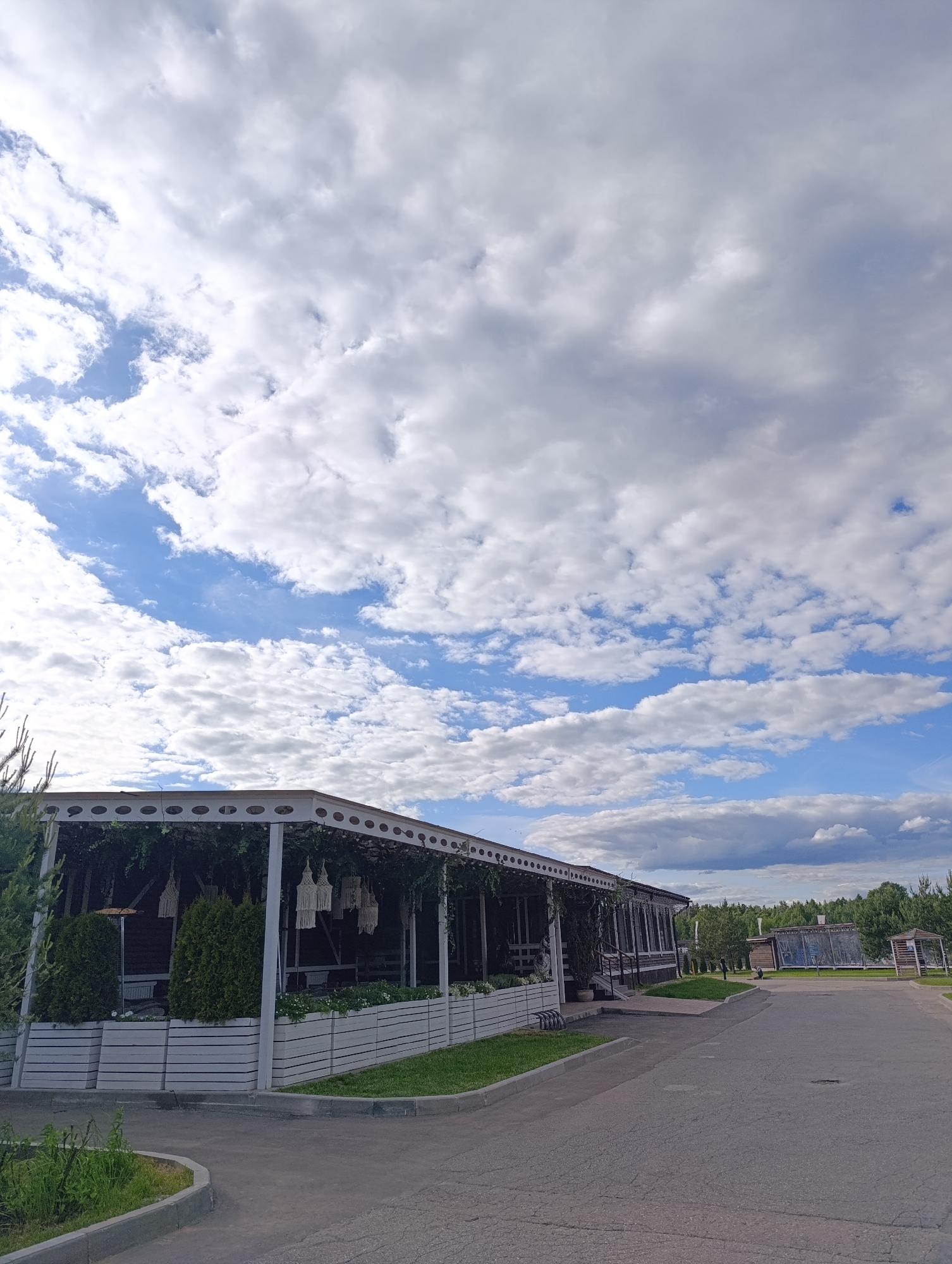 The image presents a daytime scene in what appears to be a suburban or semi-rural area of Ivanovskoe, Russia. The sky dominates the upper portion of the frame and is filled with scattered, puffy cumulus clouds against a backdrop of blue.
The primary subject is a long, single-story building with an extended, open-air veranda. The veranda is supported by white columns, and greenery, including vines and shrubbery, adorns the structure. Decorative macramé hangings are visible along the veranda's edge. A low, white-painted planter box runs along the base of the veranda.
A paved road stretches across the lower portion of the image, leading away from the foreground. The road appears to be made of asphalt and shows signs of wear, including cracks. The road is edged by low curbs.
In the background, beyond the building and road, is a wooded area consisting of green trees. Another structure, possibly a covered pavilion, is visible in the distance. The overall environment suggests a park or recreation area. There are no people visible in the frame.