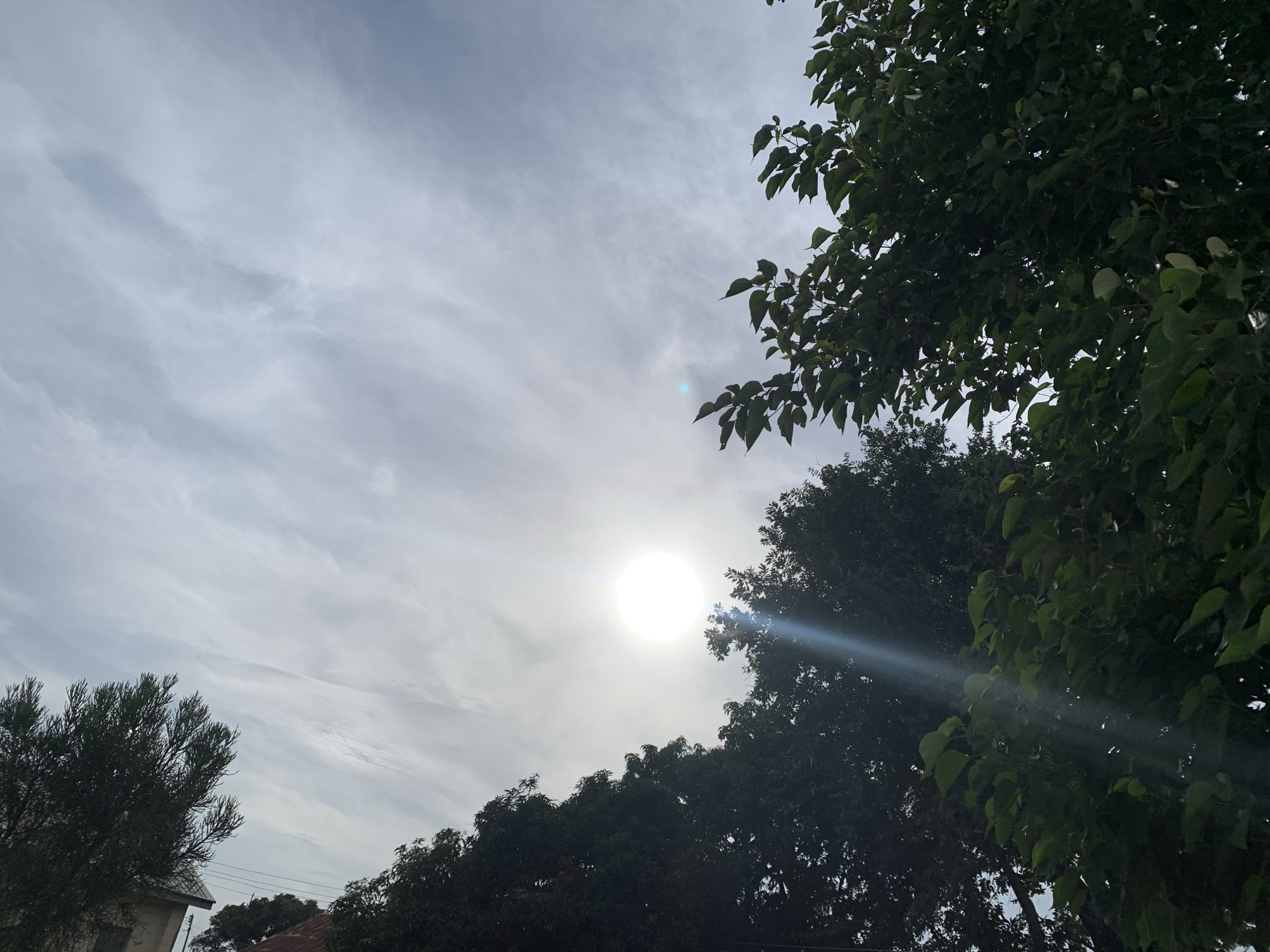 The image depicts an outdoor scene under a cloudy sky with the sun partially obscured. In the foreground, lush green foliage from trees dominates the right side of the frame, with some branches extending into the sky. A bright, circular sun with a lens flare is visible towards the center-left, casting a light beam downwards through the foliage. In the background, more trees and the tops of buildings, including a structure with a tiled roof, are visible. The overall impression is a view looking upwards towards the sky from a partially shaded area, likely a residential or natural setting within Kuru Karama, Nigeria.