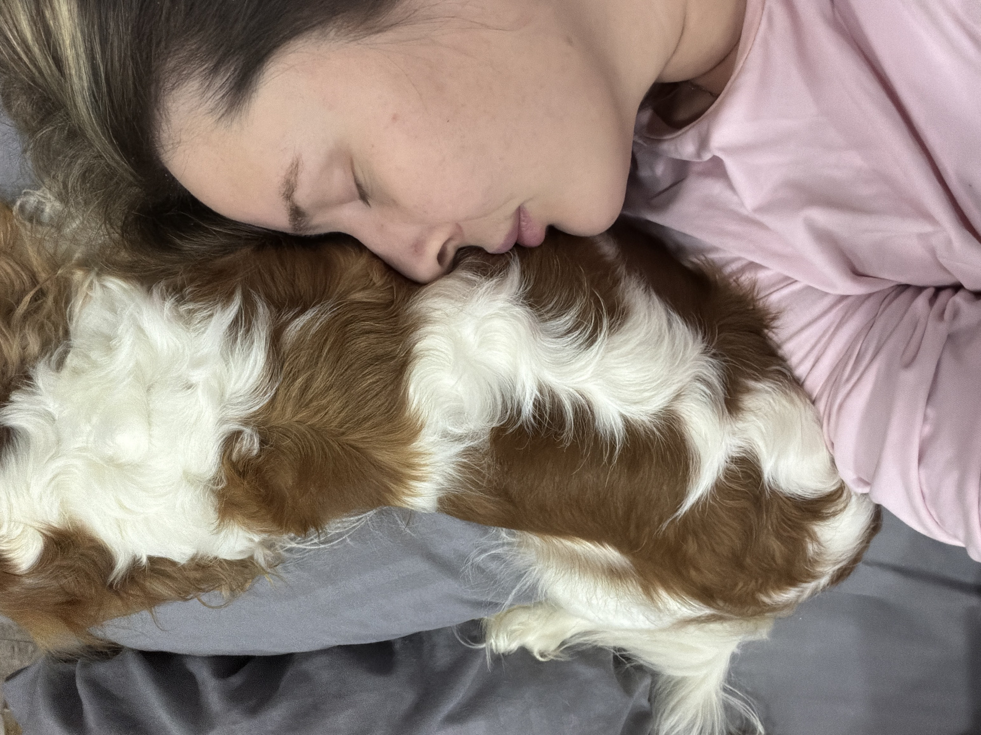 A woman lies sleeping with her face nestled into a Cavalier King Charles Spaniel dog. She is wearing a light pink top. The dog's coat is a combination of brown and white. They are lying on a gray surface that appears to be bedding. The location is unknown and not identifiable as Chaikovsky, Russia based on the visual information in the image.
