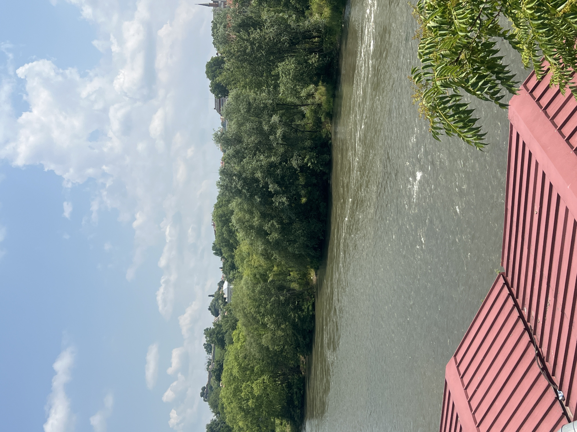 This image captures a serene, sunlit landscape featuring a wide river, likely the Maritsa River in Plovdiv, Bulgaria. The perspective appears to be from an elevated vantage point, possibly a bridge or embankment, looking across the water.
The upper portion of the scene is dominated by a bright blue sky, adorned with scattered, fluffy white cumulus clouds. Below the sky, the river flows prominently, its surface a murky greenish-brown. Sunlight glints off the water, creating sparkling streaks and patches that suggest a gentle current.
The far bank of the river is densely forested with a variety of lush green trees and foliage, forming a thick natural barrier. The rich green canopy extends along the river's edge, with some lighter-green, possibly willow-like, trees visible closer to the water. Beyond this verdant treeline, on a distant hill, the faint outlines of buildings and structures are visible, including a dark church spire, indicating the proximity of a town or city.
In the immediate foreground, on the bottom right, a reddish-brown structure with distinct parallel slats or panels is partially visible, possibly a railing or part of a building's roof. Overhanging into the top right of the frame, a branch with vibrant green, pinnate leaves adds a natural element close to the viewer.
The scene conveys a peaceful and tranquil atmosphere on a bright, clear day, with no visible people or specific events taking place. There is no visible text in the image.