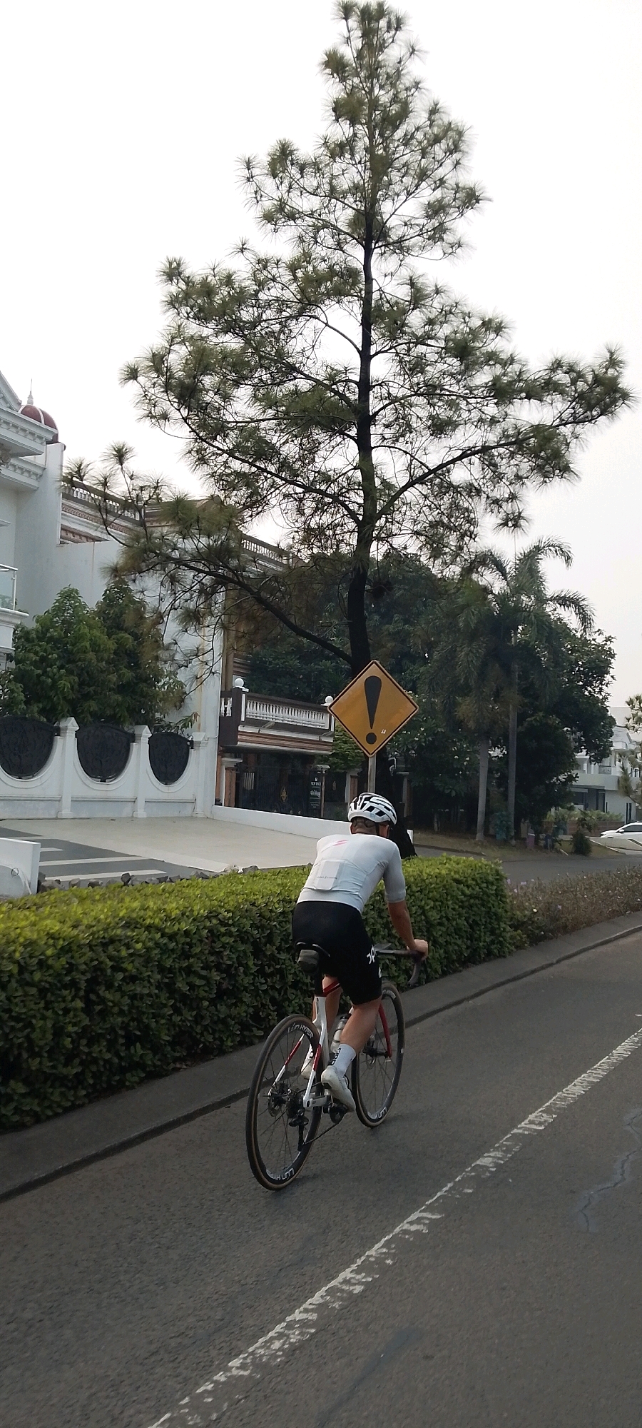 An action shot captures a cyclist in motion on a paved road, with a lush green hedge lining the left side of the road. The cyclist, wearing a white helmet, grey cycling jersey with a subtle pink accent on the back, and black cycling shorts with white accents on the legs, is riding a road bike with black tires and red rims. The bicycle's rear wheel is clearly visible, displaying the brand "WH-RS81-C24" on the rim.
Behind the cyclist and hedge, a large, mature pine tree dominates the upper half of the frame, its branches spread wide against an overcast sky. To the left of the tree, a white building with a domed roof and decorative white railing is visible, hinting at a residential area. Further back, more trees and structures suggest a suburban or city environment. A yellow diamond-shaped warning sign with a black exclamation mark is posted on a metal pole, positioned to the right of the cyclist and in front of the tree. The sign indicates a hazard or caution on the road. The overall scene appears to be a bright, possibly humid day in Gunung Putri, Indonesia, as indicated by the dense vegetation and architectural style.