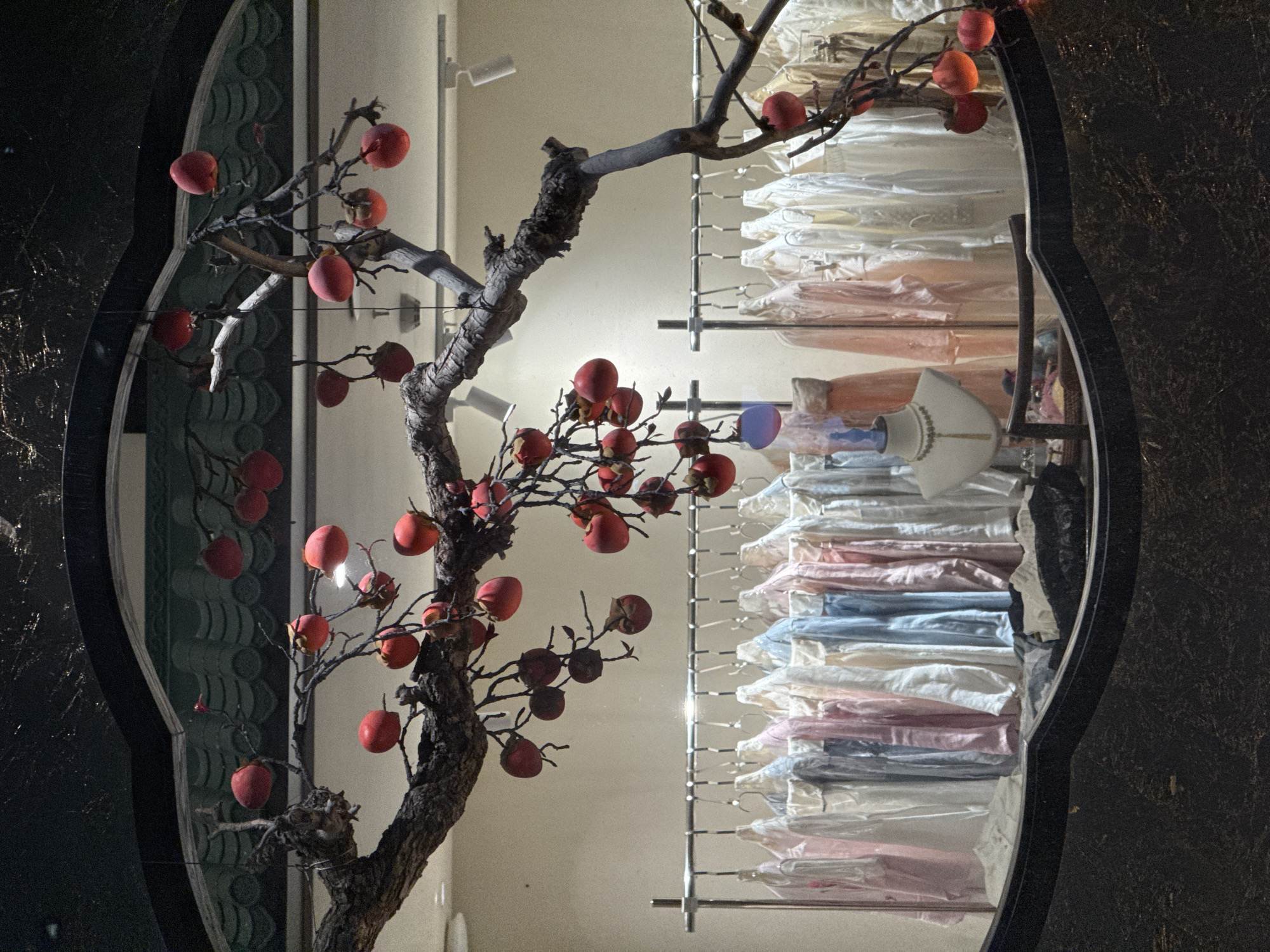 The image is a view through an elaborately decorated opening. On the left is a tree branch with small, round, red fruits attached. Behind the tree is a wall. To the right, a display rack is filled with garments in clear plastic bags, arranged in neat rows. The clothes appear to be in pastel shades of pink, blue, and white. The opening is surrounded by a dark material, which seems to have a textured surface.
Based on prior knowledge, the location is likely a business or shop display in Chaoyang District, China. The items being sold or showcased behind the tree appear to be clothing.