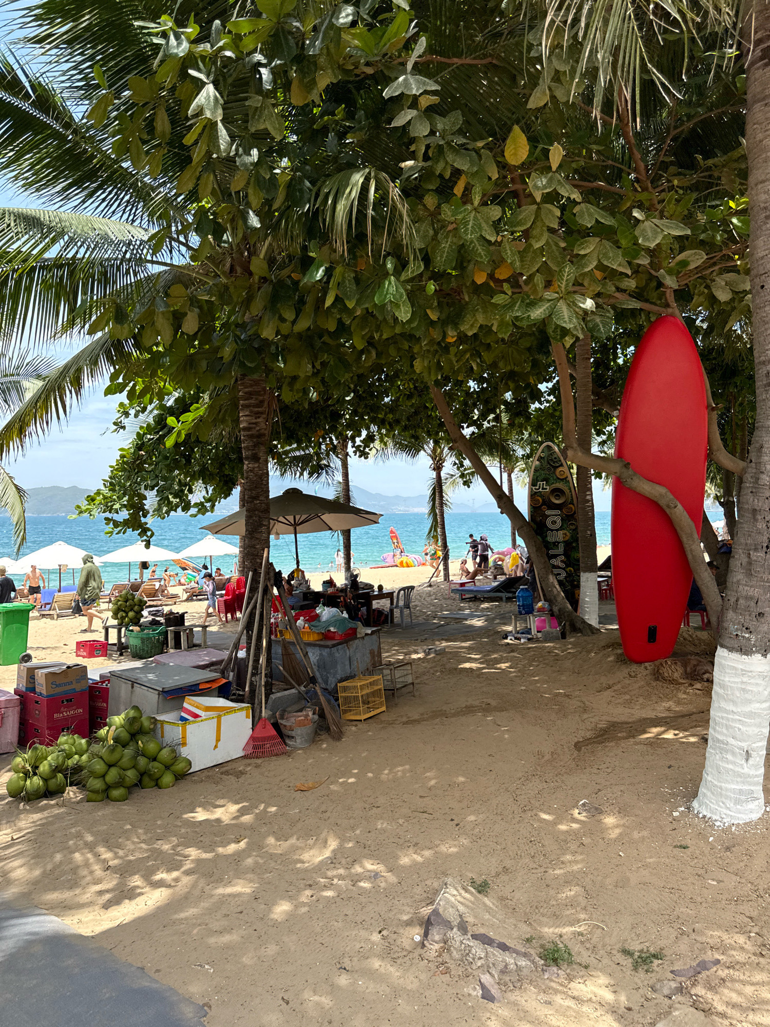 This image depicts a lively scene at a beach in Nha Trang, Vietnam, likely near a popular tourist area. In the foreground, a red surfboard stands upright against a palm tree, with another surfboard with a floral design leaning nearby. Piles of green coconuts are neatly arranged on the sandy ground, adjacent to crates and containers, suggesting a vendor's stall. Various items, including a red cooler, a rake, and a yellow birdcage, are also visible.
Further into the scene, several beach umbrellas are set up on the sand, providing shade for beachgoers. People are relaxing on lounge chairs and walking along the shore. The turquoise ocean stretches out towards a distant, hazy coastline, with a clear blue sky overhead. The presence of lush green foliage from palm and other trees creates a tropical ambiance. The overall atmosphere is one of a typical beach day, with a mix of relaxation and commercial activity.
