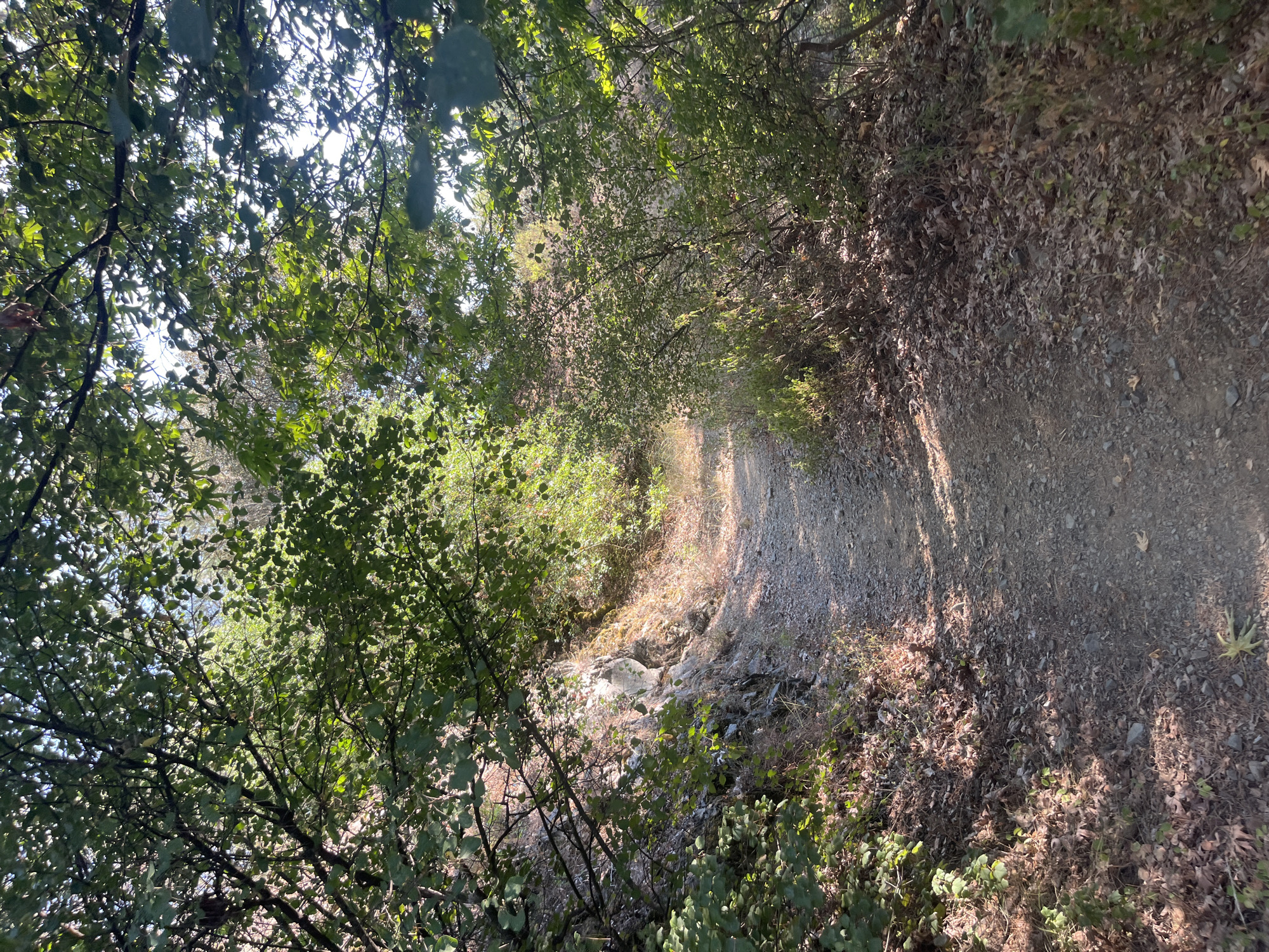 The image depicts a narrow, unpaved hiking trail winding through a wooded area. The trail is covered in gravel and loose stones, with fallen leaves and dry vegetation lining its edges. Dense green foliage from trees and bushes overhangs the path, casting dappled sunlight onto the ground. A rocky embankment is visible on the left side of the trail, with patches of light and shadow. The scene appears to be in a natural, undeveloped setting, consistent with a rural or mountainous region like Pano Platres, Cyprus, known for its forests and hiking trails. There are no people or animals visible in the image.