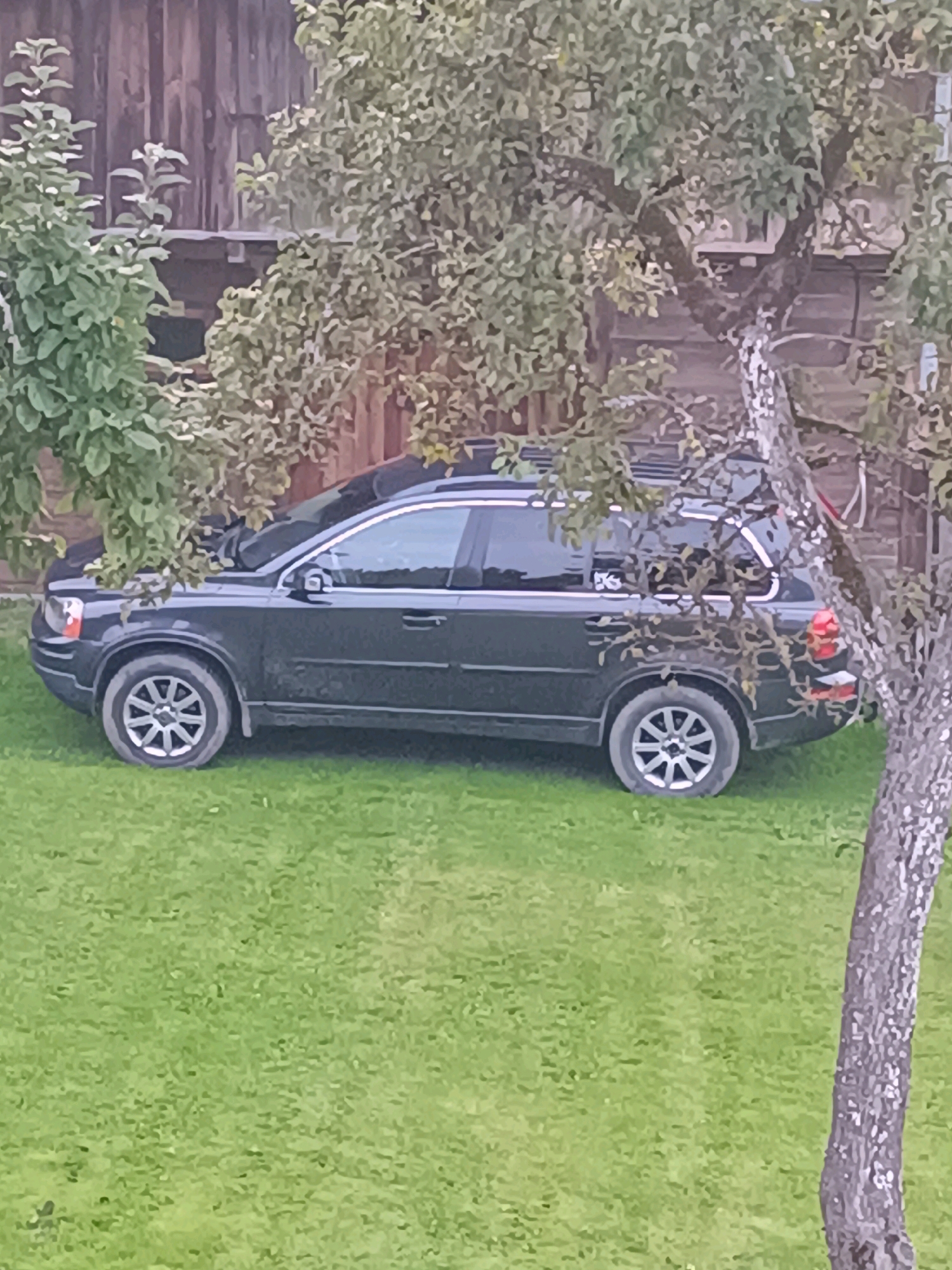 A dark-colored Volvo XC90 SUV is parked on a grassy lawn in front of a wooden building in Tebras, Latvia. The car is partially obscured by the branches of a mature tree. The SUV is facing towards the left of the frame and appears to be stationary. The building behind the car has vertical wooden planks for its exterior. The lawn is well-maintained and green. The overall scene suggests a residential or rural setting. There are no people visible in the image.