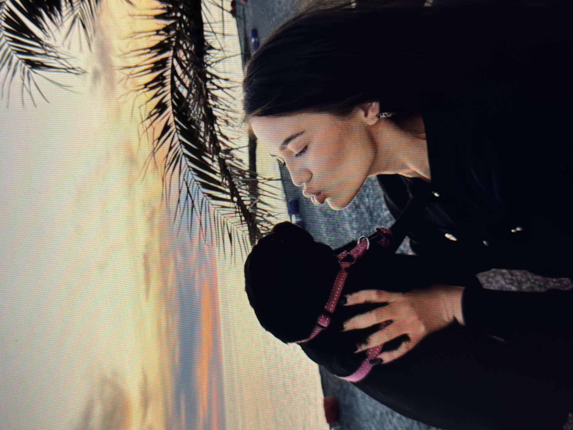 A young woman with dark hair and a black jacket kisses a black puppy on the head. The puppy wears a pink collar with rhinestones. The woman's eyes are closed, and her head is tilted back. She is wearing a small silver earring. They are on a beach with palm fronds in the background. The sky is a mix of orange, yellow, and blue, indicating sunset. The water is calm. In the distance, there are some red and blue buoys visible on the shore. The location is Sirius, Russia.