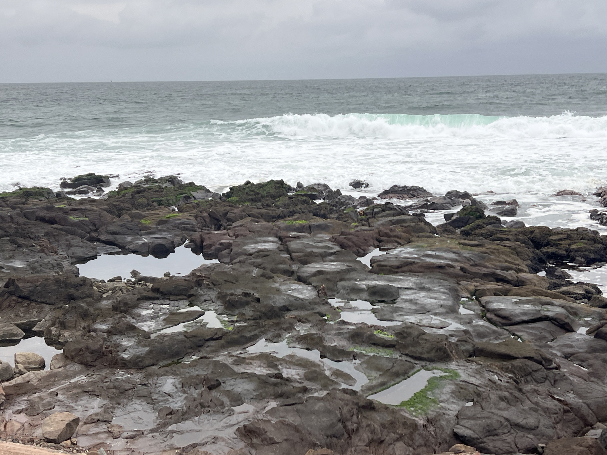 The image depicts a rocky coastline with the ocean in the background. The foreground is dominated by dark, wet rocks, some of which have tidal pools reflecting the overcast sky. There are patches of green algae on the rocks. The ocean is a medium gray color, with white waves crashing against the shore. The sky is a uniform, dull gray, indicating a cloudy day. The scene appears to be a natural, undeveloped coastal area. This location is likely near the coast of Arica, Chile, known for its rugged shores and Pacific Ocean access.