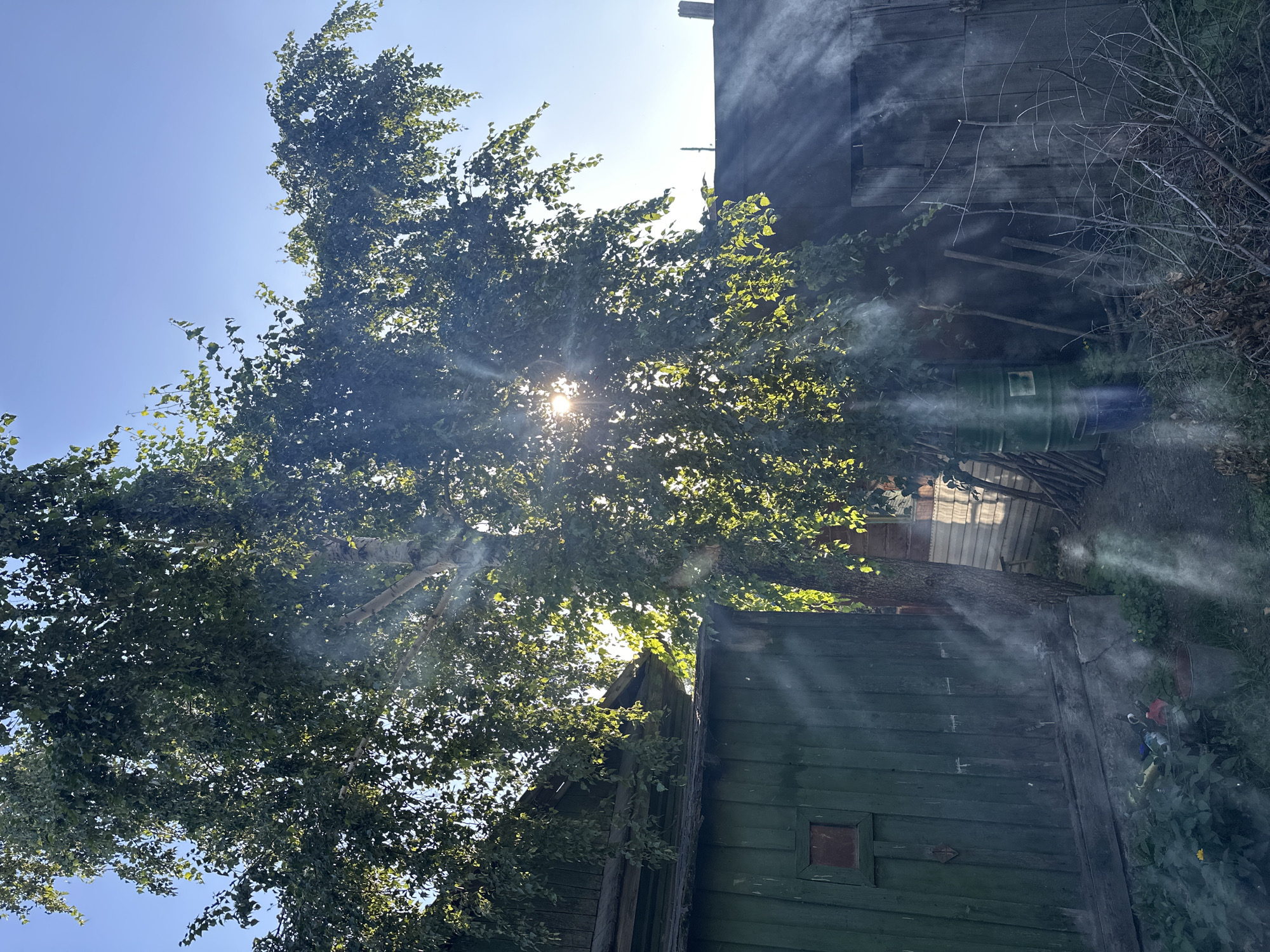 The image depicts a rustic outdoor scene, possibly a backyard or yard area, bathed in sunlight. The focal point is a large deciduous tree with dense foliage, through which the sun's rays are filtering, creating a lens flare effect and illuminating smoke rising from the ground. To the left, a weathered, dark green wooden structure with a small, dark-paned window is visible. In the foreground and mid-ground, various objects are scattered, including a green barrel, a blue bucket, a metal bucket, dried branches, and some discarded items like bottles. To the right, another wooden structure, appearing to be a shed or outbuilding with a dark, weathered door, is partially visible. The overall impression is one of a somewhat unkempt, rural or semi-rural environment under a clear blue sky. The location is identified as Biysk, Russia. No people are present in the image.