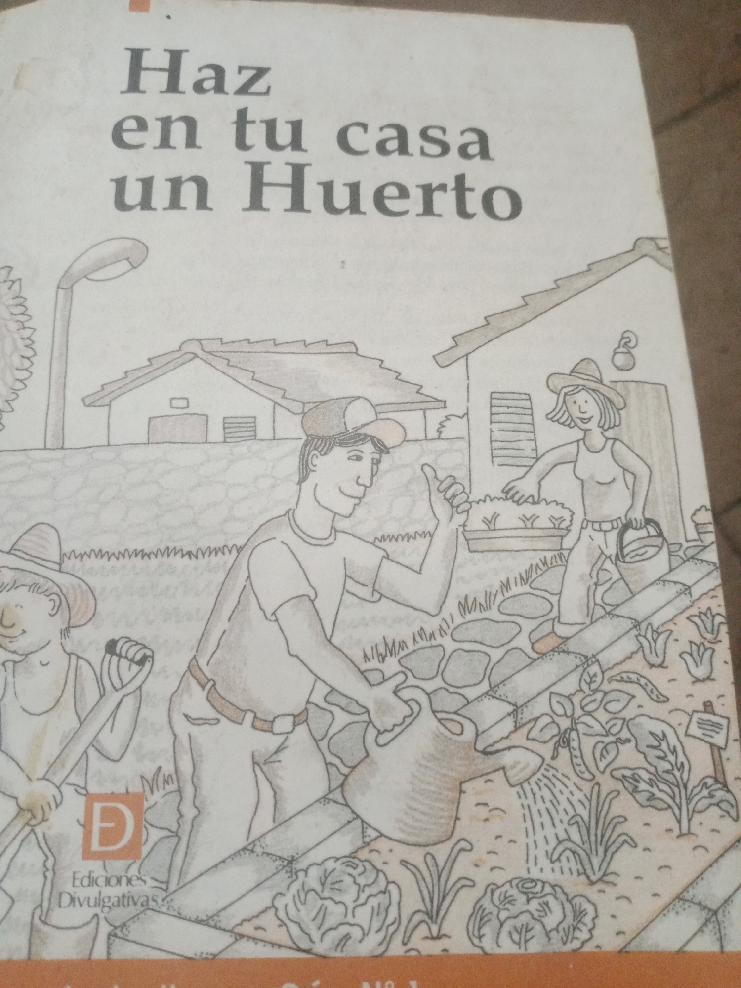 The image shows the cover of a book titled "Haz en tu casa un Huerto". The cover features a cartoon illustration of people gardening. In the foreground, a man wearing a cap is giving a thumbs-up gesture, while a woman in a hat is watering plants with a watering can. Another person, partially visible on the left, is holding a shovel. In the background, two houses with pitched roofs are depicted, along with a street lamp. The book's publisher, "Ediciones Divulgativas," is visible at the bottom left. The style of illustration and the subject matter suggest a practical guide to home gardening. There is no indication of Santa Ana, Venezuela, or any specific city in the image.