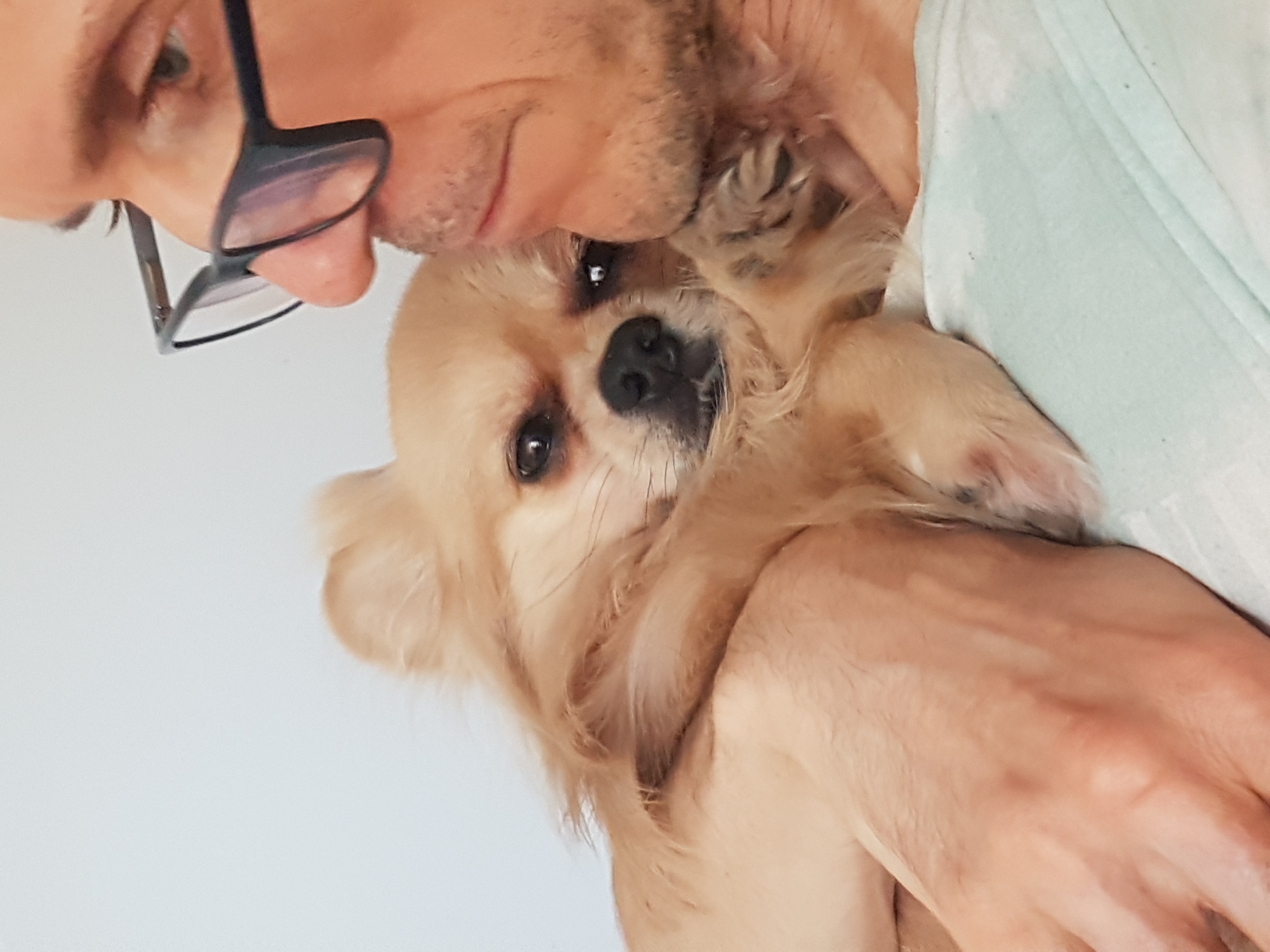 A man wearing glasses is holding a small, light-brown dog close to his face. The dog is looking at the camera. The man appears to be smiling slightly. The background is a plain light blue or white. There is no indication of location.